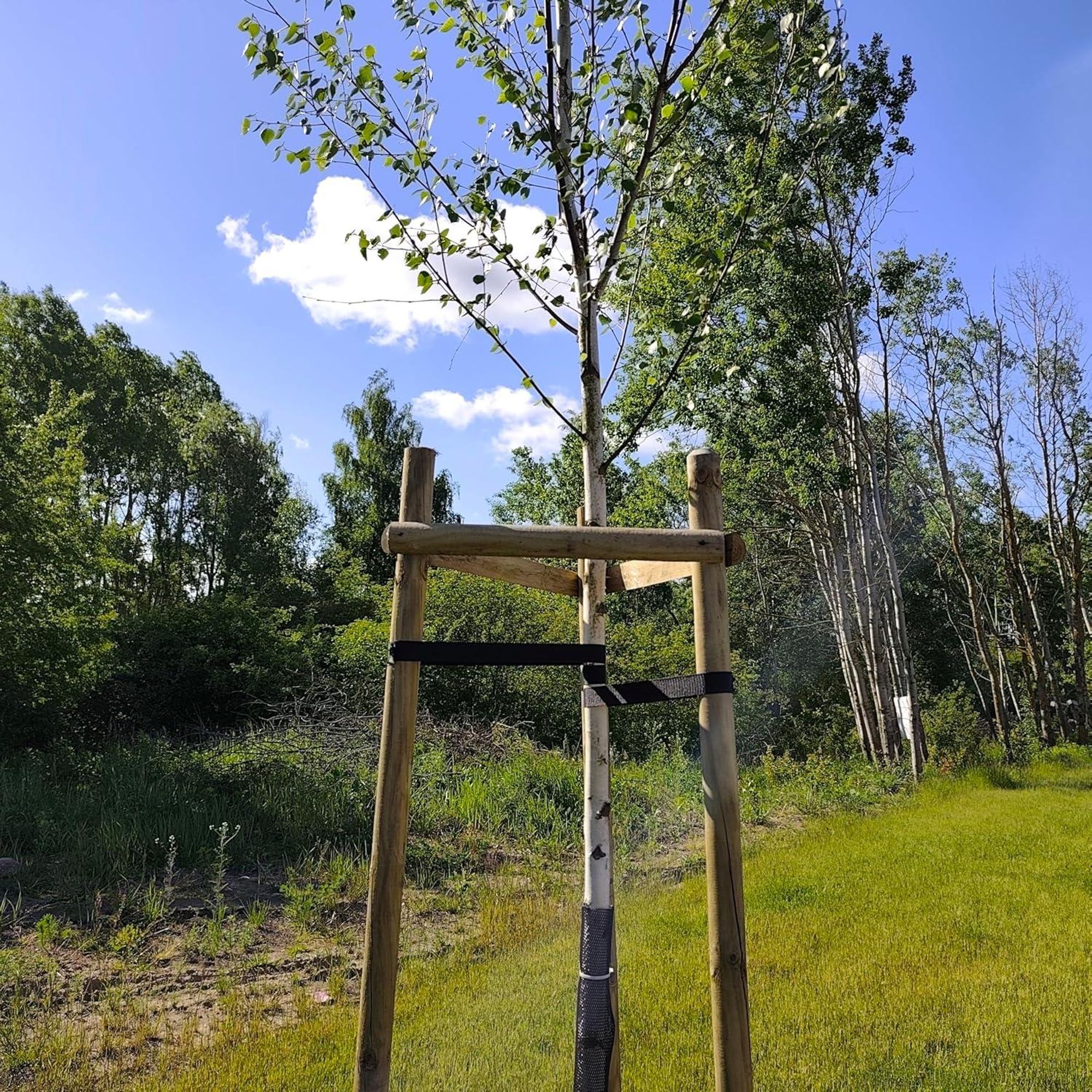 TIMBERMIK Baumstütze Komplettset Rankhilfe Baumpfahl ø 7cm Länge: 200 cm Pflanzenhalter 3 x Holzpfosten 3x Schwarze Baumgurte und 6x Halbpalisaden