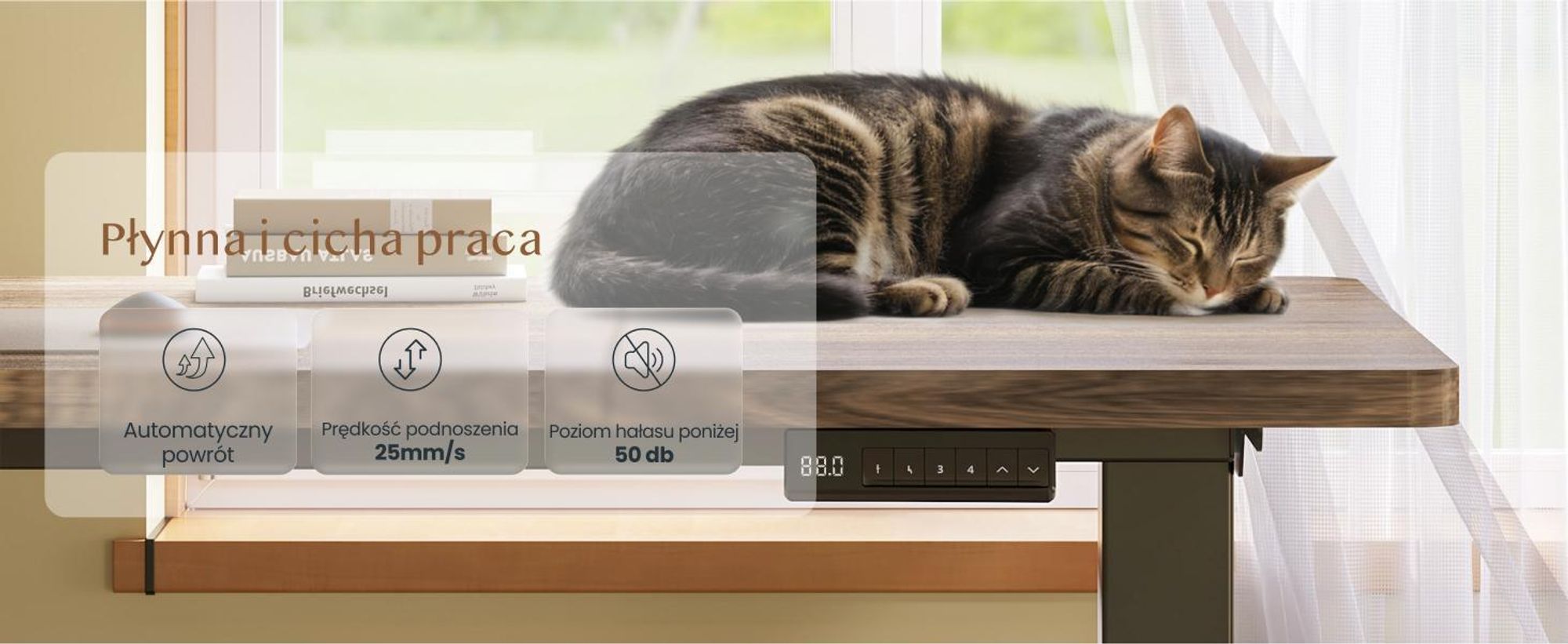FLEXISPOT QB2 Biurko z regulacją wysokości Elektryczne 180x80cm, 2 MOCNE SILNIKI, nośność 120 kg, ochrona przed kolizją, 4 funkcje pamięci (brązowe)