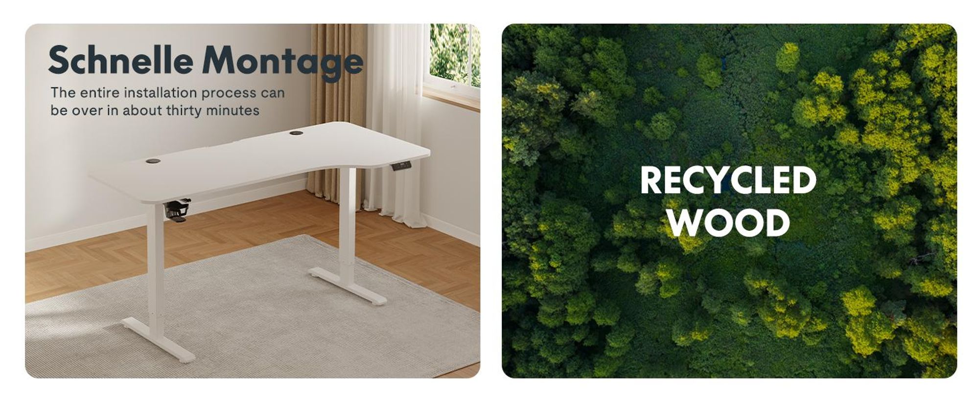 SANODESK Höhenverstellbarer Schreibtisch Elektrisch 120x60cm Einteilige Tischplatte, 4 Speicherplätzen, 60 kg Tragkraft, Anti-Kollisionsschutz (Ahorn)