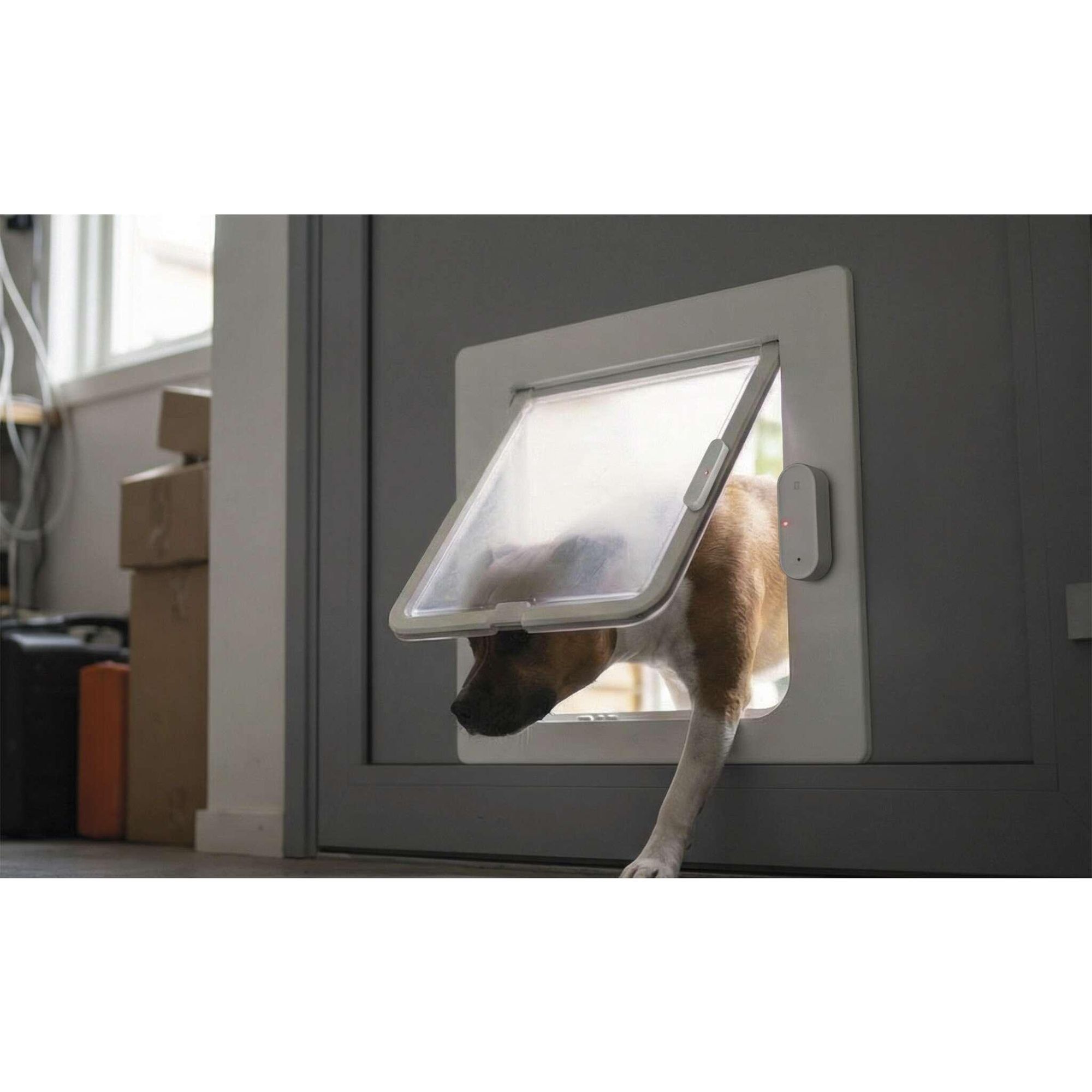 EMOS GoSmart - ZigBee Türsensor mit App - drahtloser magnetischer Zigbee-Fenster
