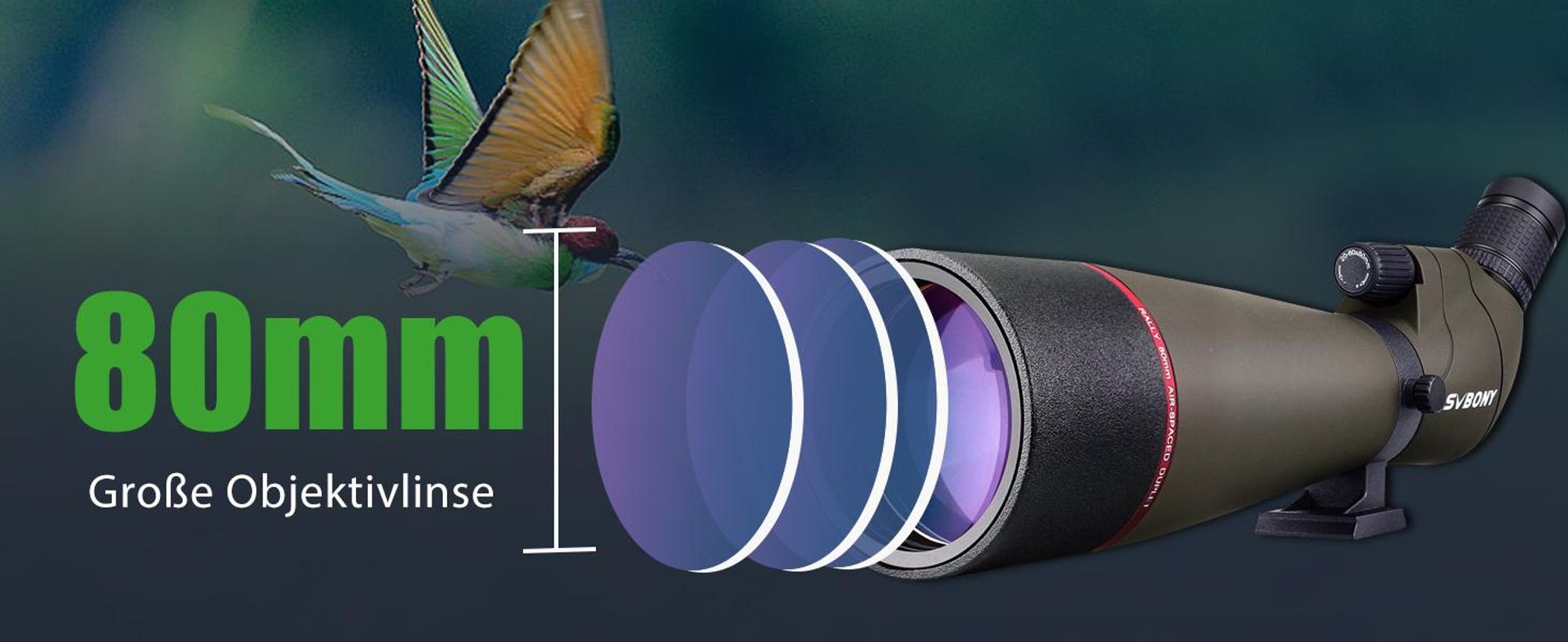 Svbony SV13 Spektiv 20-60x80, mit Tischstativ, Smartphone Adapter, HD Wasserdicht Porro Prisma Abgewinkelt Spektiv Spotting Scope für Vogelbeobachtung