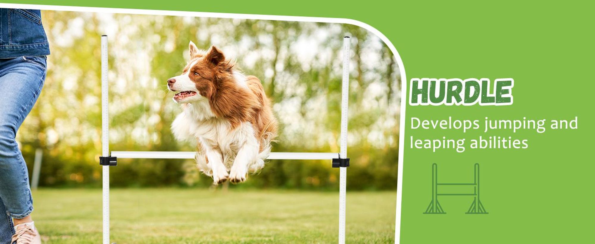 Pawhut Paws zestaw płotków do agility zestaw treningowy dla psa 4x płotki białe