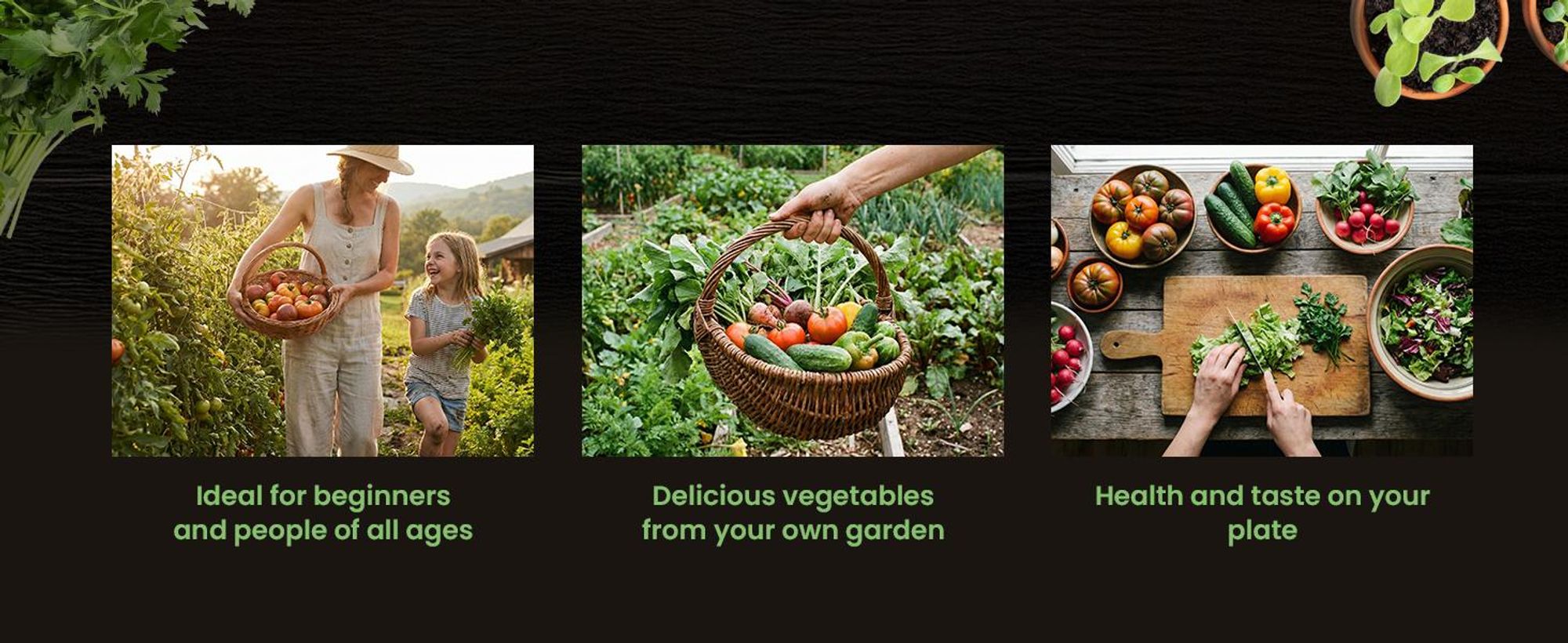 Green Harvest Groentezaden Set 20 soorten, 20 zakjes, zaden voor de tuin