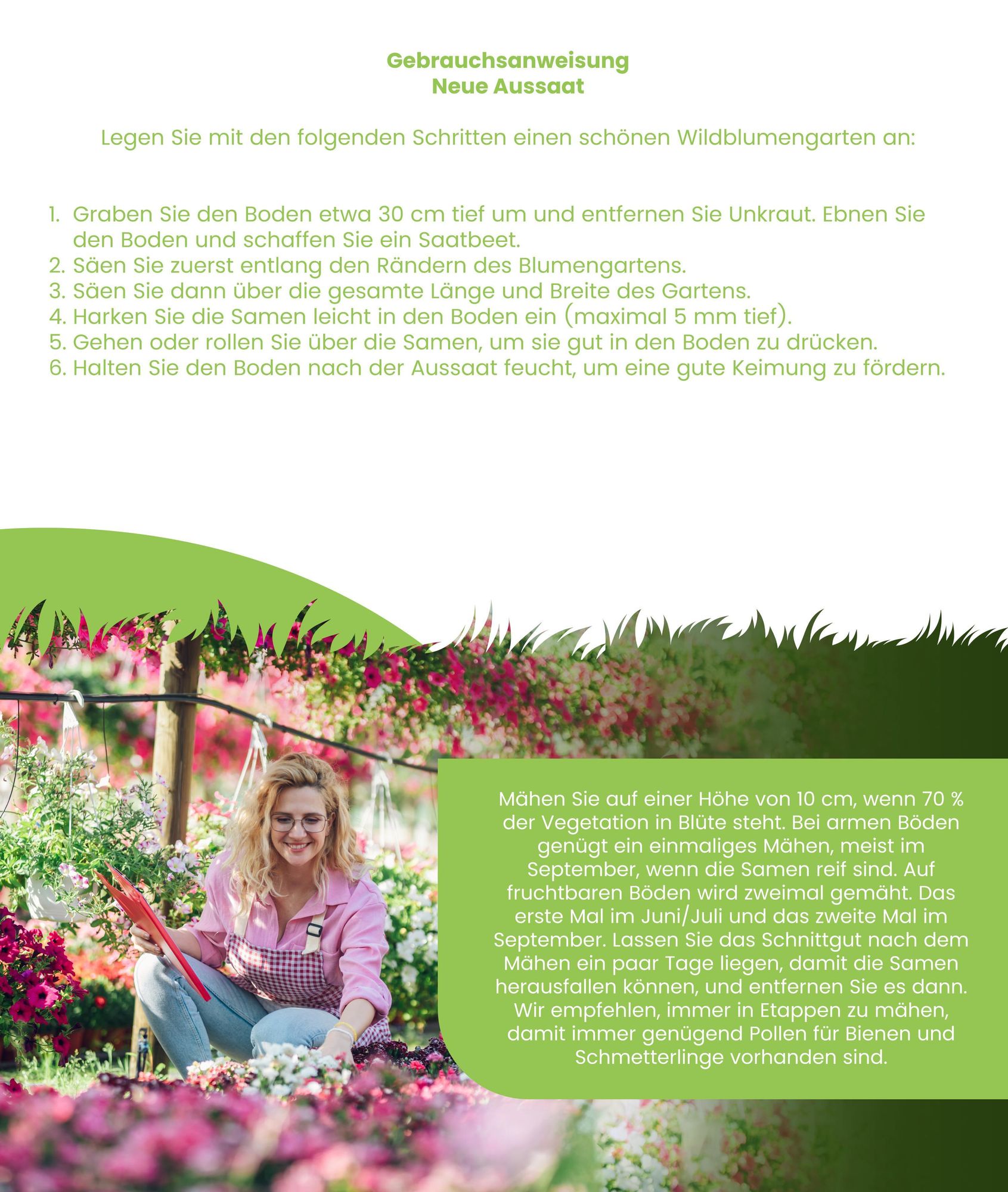 Wildblumenmischung Biodiversität 2 kg = 1000 m² – 62 Arten Blumenwiese Saatgut, Bienen- & Insektenweide, Naturgarten Blühmischung – Organifer