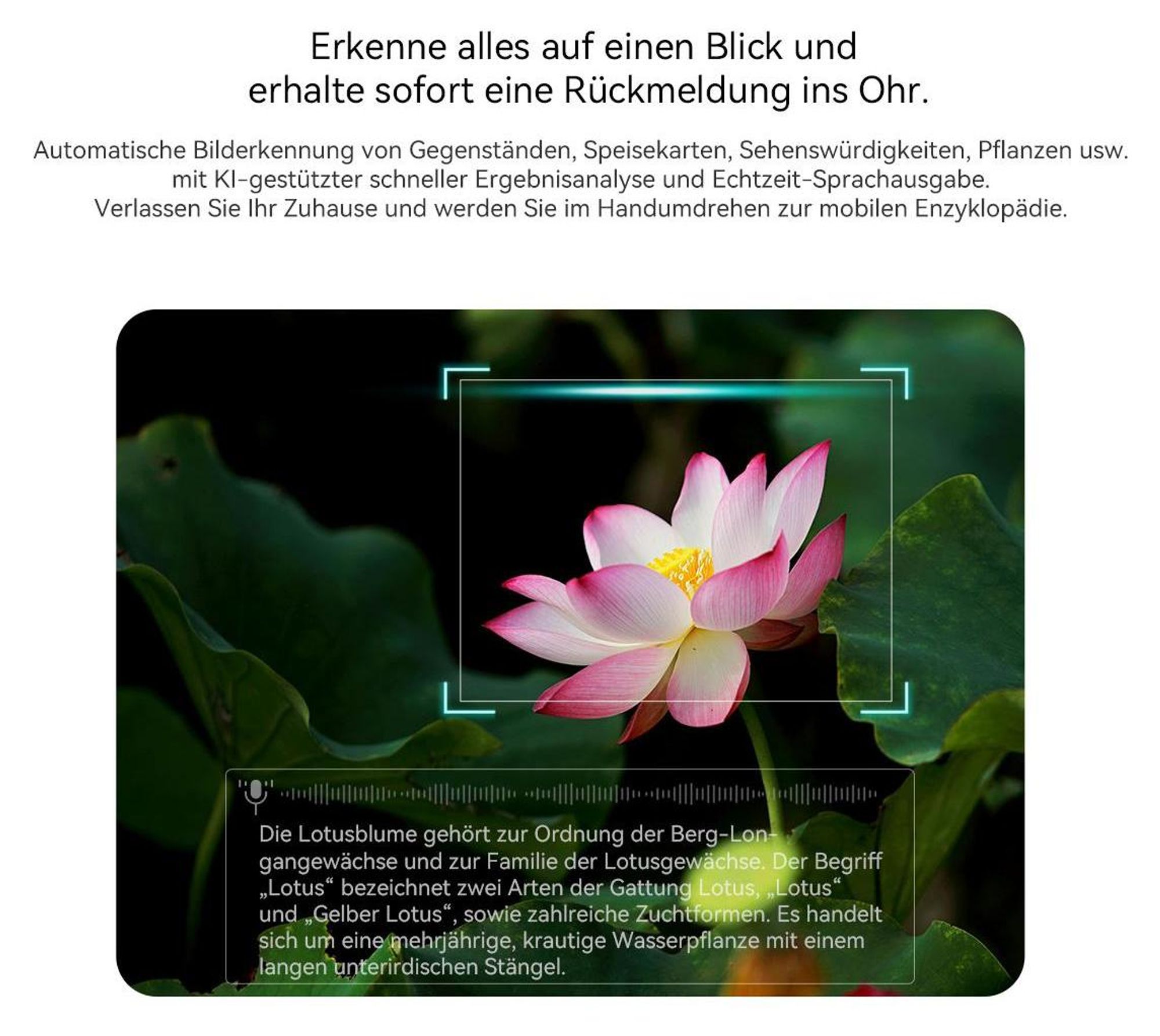 Blackview BV100 Smarte Brille mit KI-Assistent, 8MP Kamera & Offenem Audio - Bluetooth 5.4, 51h Musik, Freisprechen, IP54