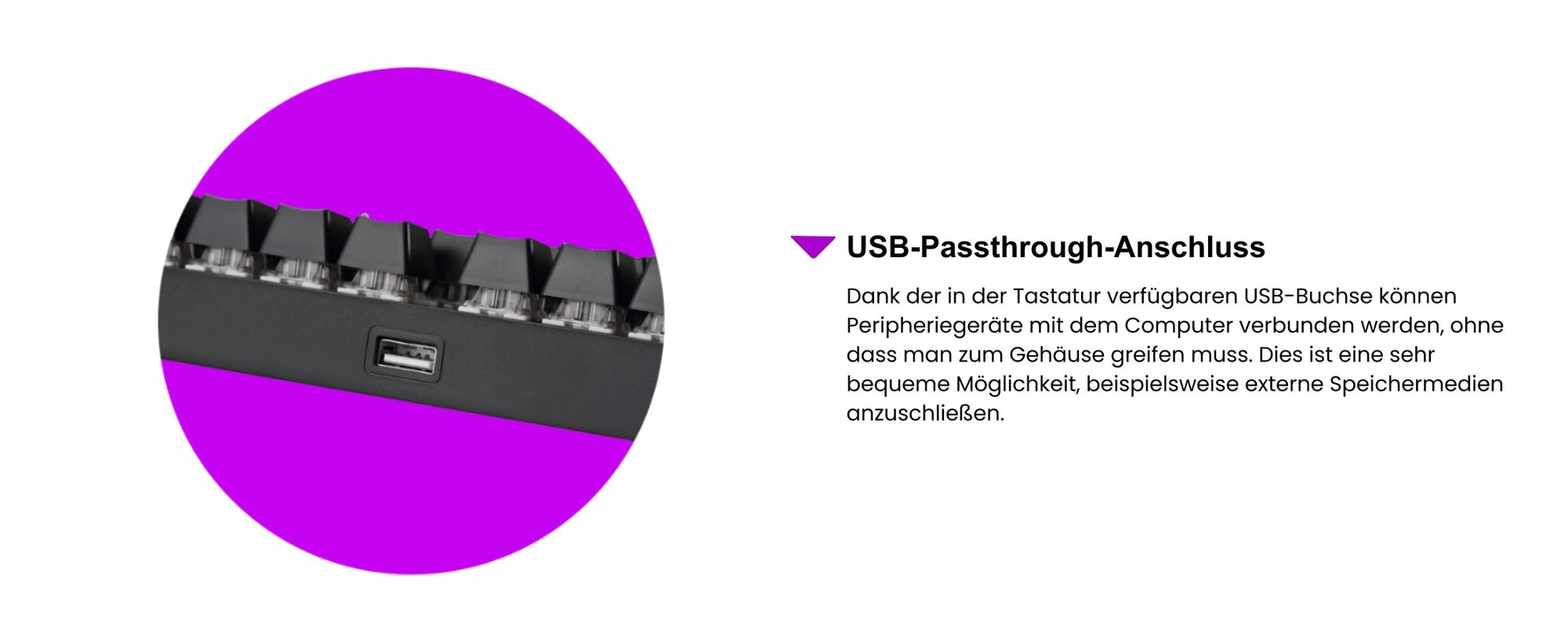 PREYON Long Claw Brown Tastatur Gaming-Tastatur - Handballenauflage - 104 Tasten - Gateron Brown Schalter - Aluminiumgehäuse - RGB-Beleuchtung - Beleuchtungsmodus - Software - USB-Durchgangsanschluss