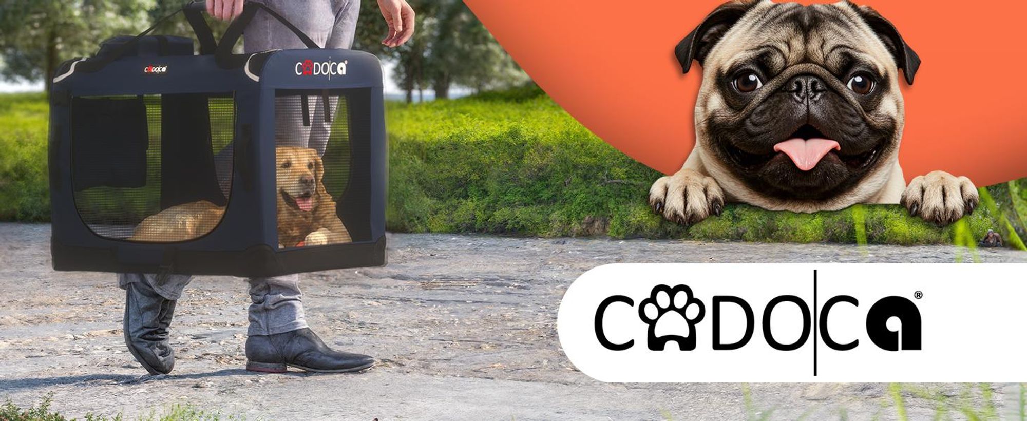 Faltbare Hundetransportbox Größe M 60x42x44 cm mit herausnehmbarer Liegedecke und faltbarem Trinknapf