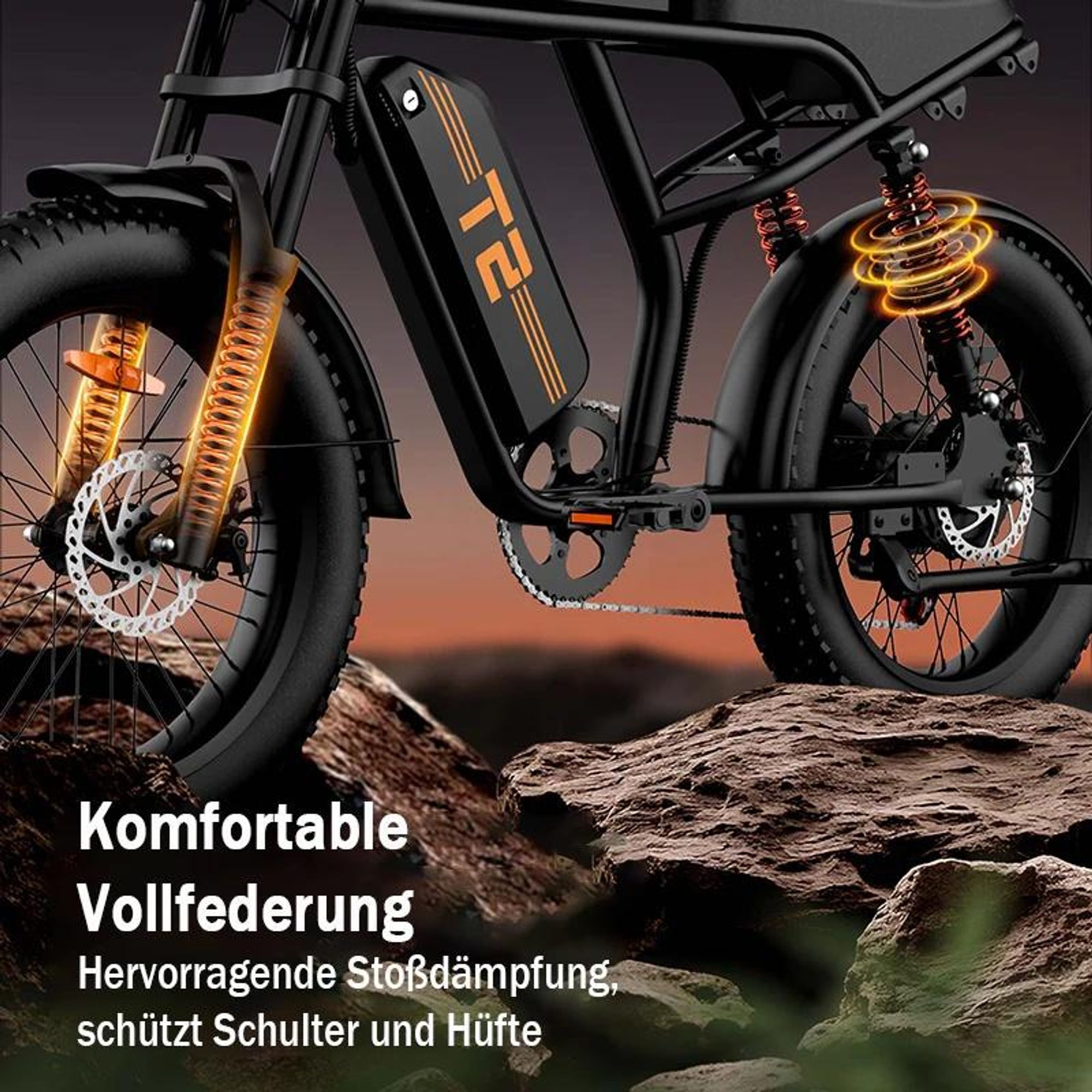 URLIFE T2 Elektrisches Fahrrad - Motor250W Batterie 48V 15.6Ah mit Scheibenbremse Trittunterstützung - Schwarz