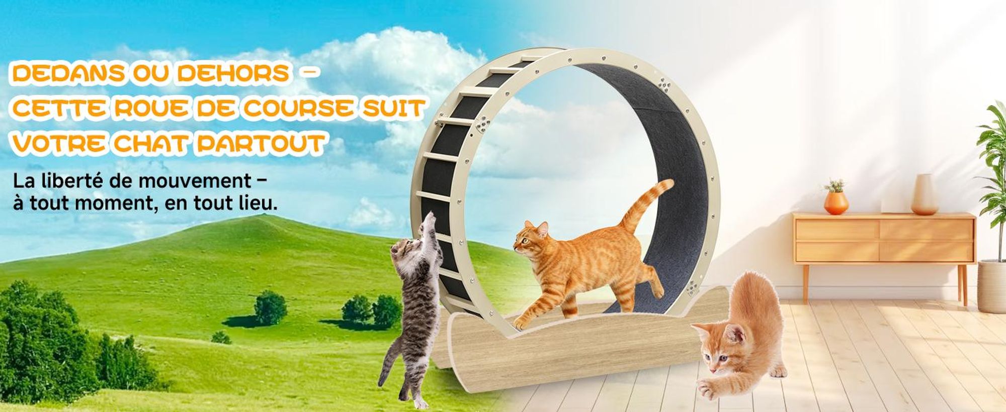 GTPLAYER Roue d'exercice pour chats, roue d'exercice pour chats, extra grande 100 cm, roue d'exercice ultra silencieuse avec tapis et jouets amovibles, autocollants, verrouillage, geeign