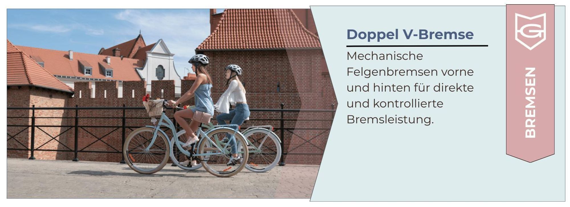 V-Brake Bremsen