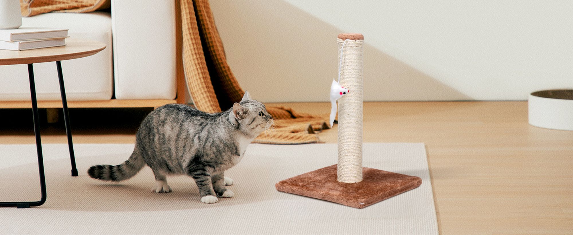 Kratzspielplatz Für Katzen Petsona Kratzbrett Für Katzen - Natürlicher  Kratzbaum Mit Kratzpappe \u0026 Teppich Katzenspielplatz Natürlich, image size:2000x820