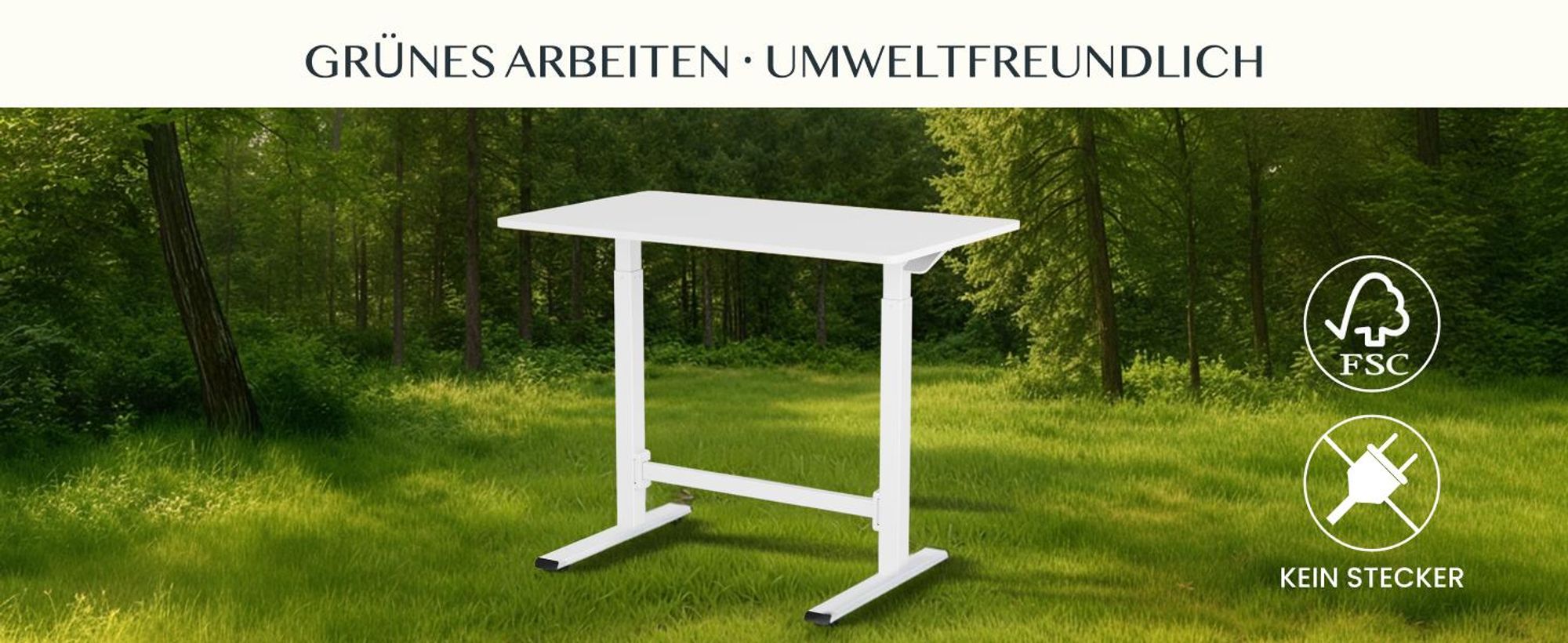 FLEXISPOT Gasfeder Höhenverstellbarer Schreibtisch 100×60 cm – stufenlos manuell verstellbar, Steh-Sitz-Tisch ohne Strom, mobil mit Rollen (Weiß)