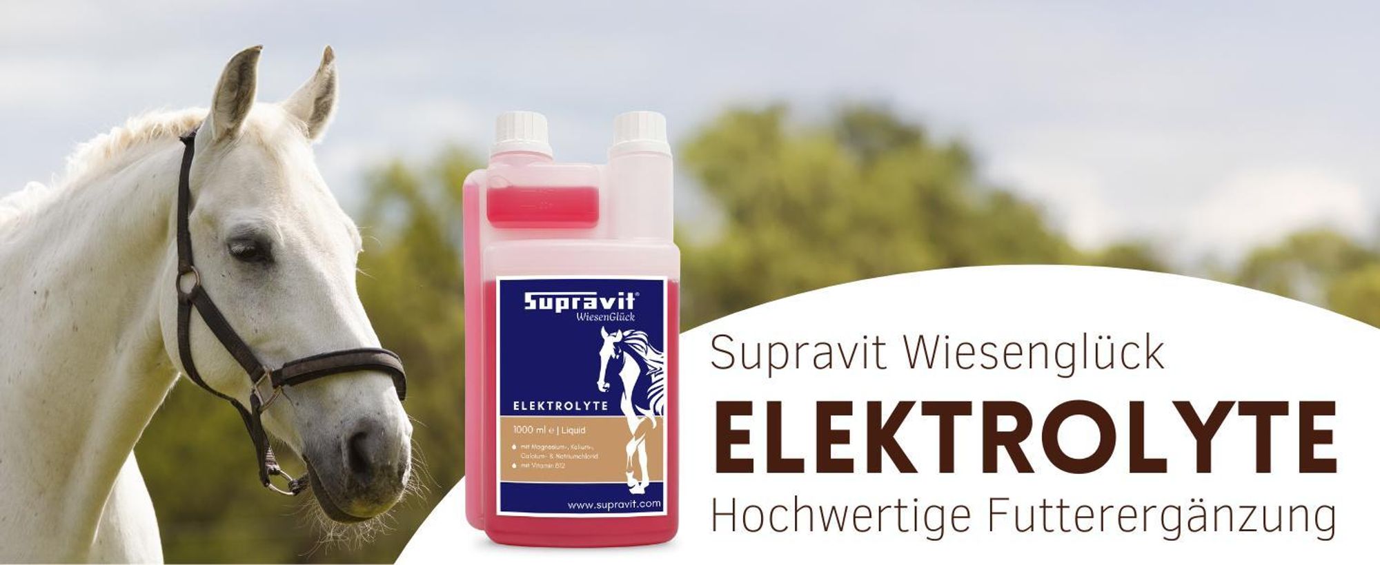 Pferd mit Produkt