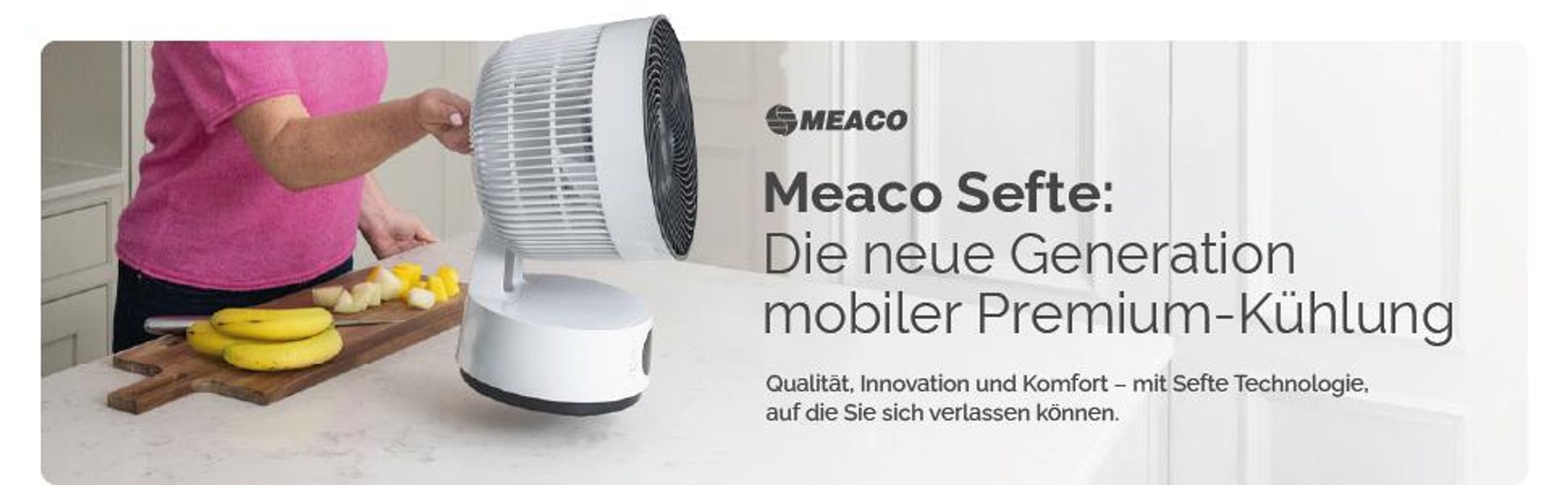 MeacoFan Sefte® 20cm Ventilator mit Akku, leise ab 27dB ,Fernbedienung und Oszillation