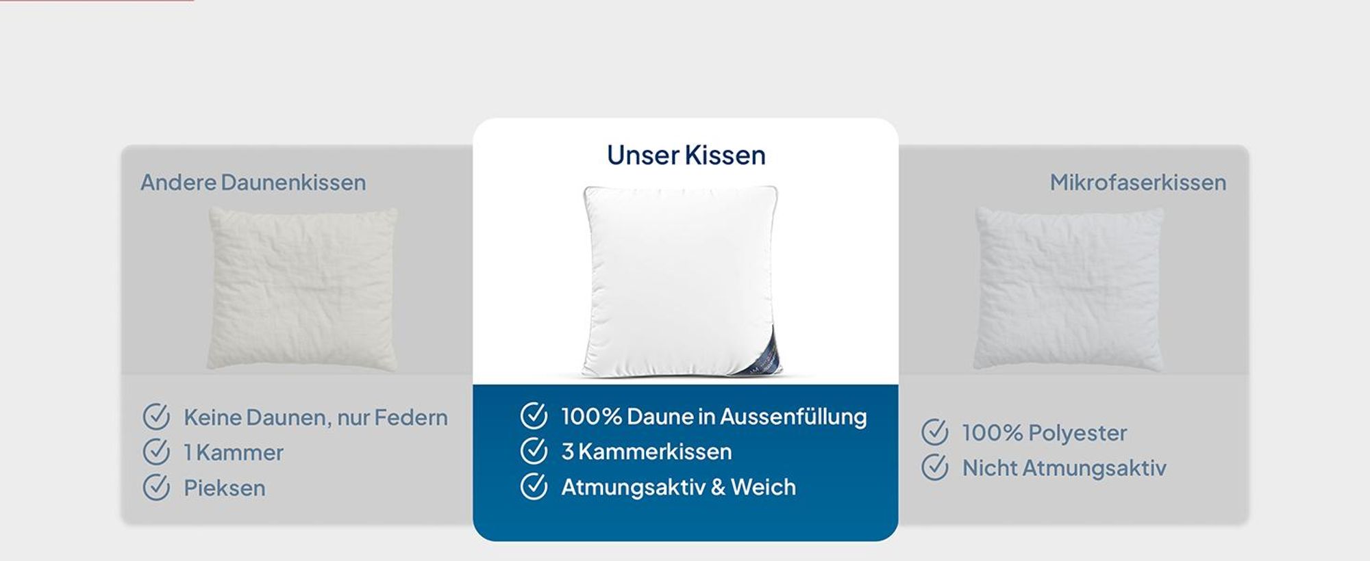 DormiGood | Premium Daunenkissen | 2er Set 40x80 cm | Daunen | Kissen Doppelpack | 40x80 | Kopfkissen | Allergiker geeignet | Nomite | Downpass