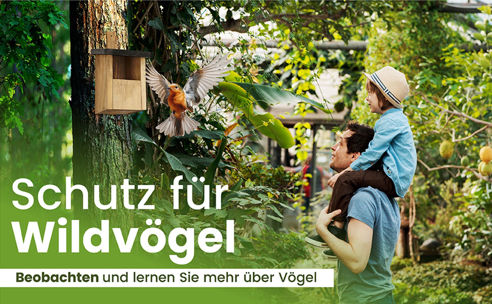 Waldfunk Nistkasten Halbhöhle für Rotkehlchen & Co. | Wetterfest & Massives Holz | Vogelhaus für Nischenbrüter | Einfache Aufhängung & Reinigung