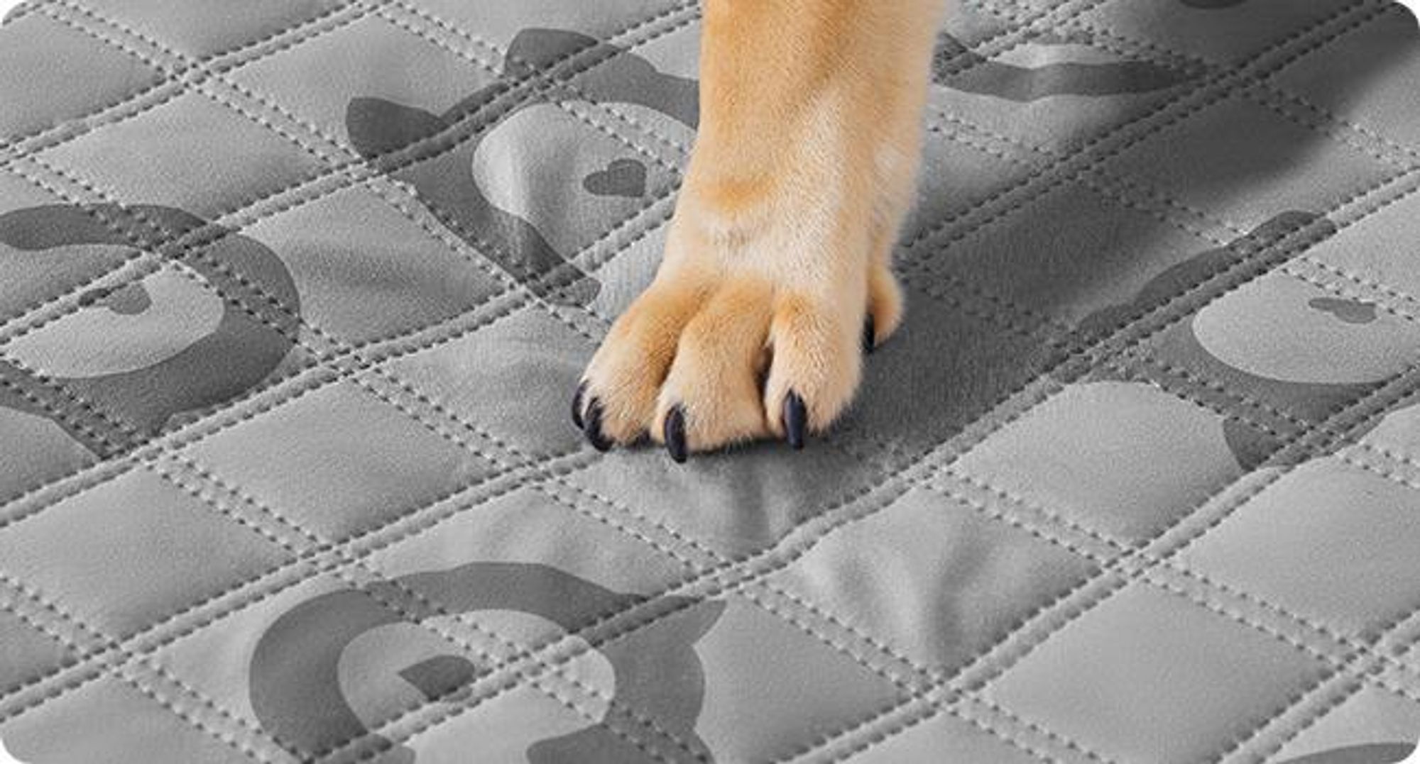Feandrea Wasserdichte Hundedecke, Decke, 208 x 173 cm, Autoschondecke für Haustiere, Sofaschutz