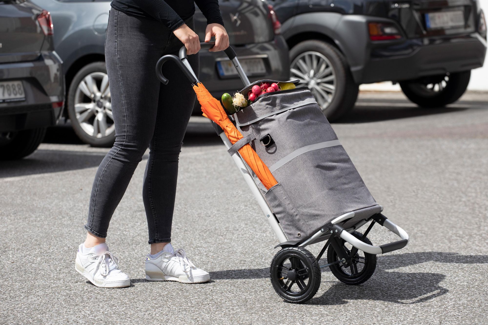 Das Bild zeigt einen gefüllten Einkaufstrolley