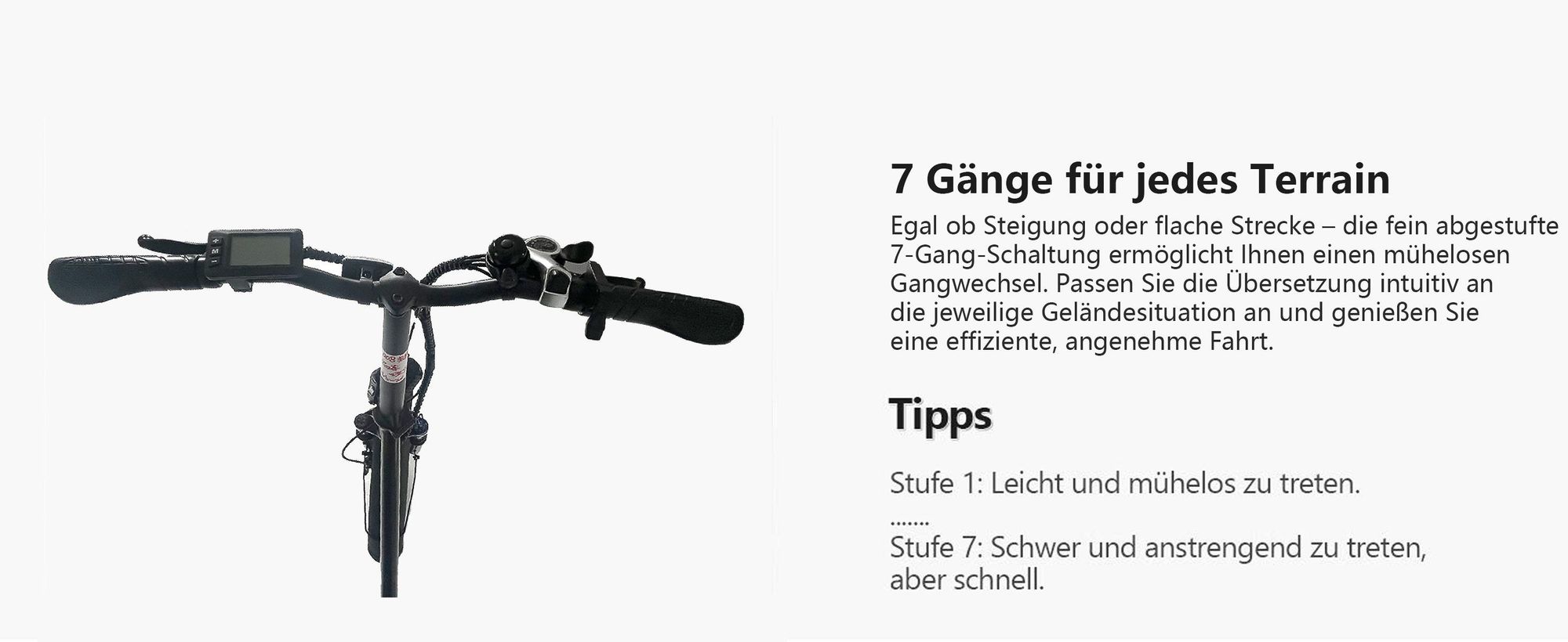 Runetic Ebike, Foldable e-bikes, 250W Motor, 36V 13Ah herausnehmbarer Akku, bis zu 80 km Reichweite, 25 km/h, 20" x 3,0" Breitreifen, Grün