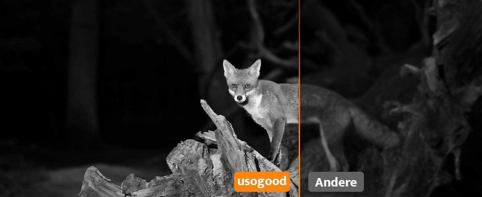 4G LTE Solar Wildkamera 2K 360° PTZ mit Handyübertragung App SIM Karte 32GB Speicherkarte Bewegungsmelder Nachtsicht Wildtierkamera