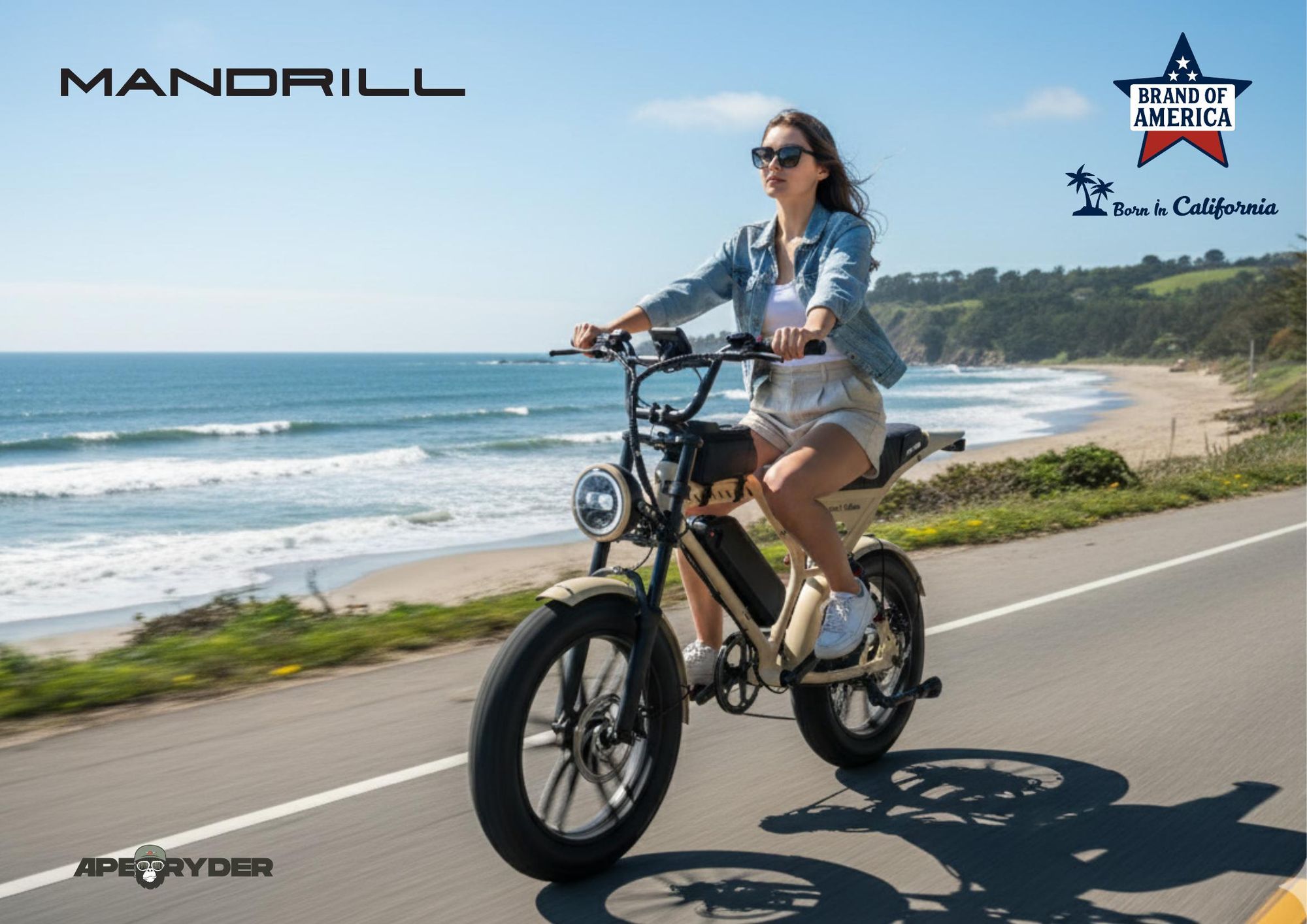 APE RYDER Mandrill E-Bike 20" Fatbike, 250W Motor, 48V 15Ah (70 km), Hydraulische Scheibenbremsen, Dual Suspension, Shimano 7-Gang, 25 km/h