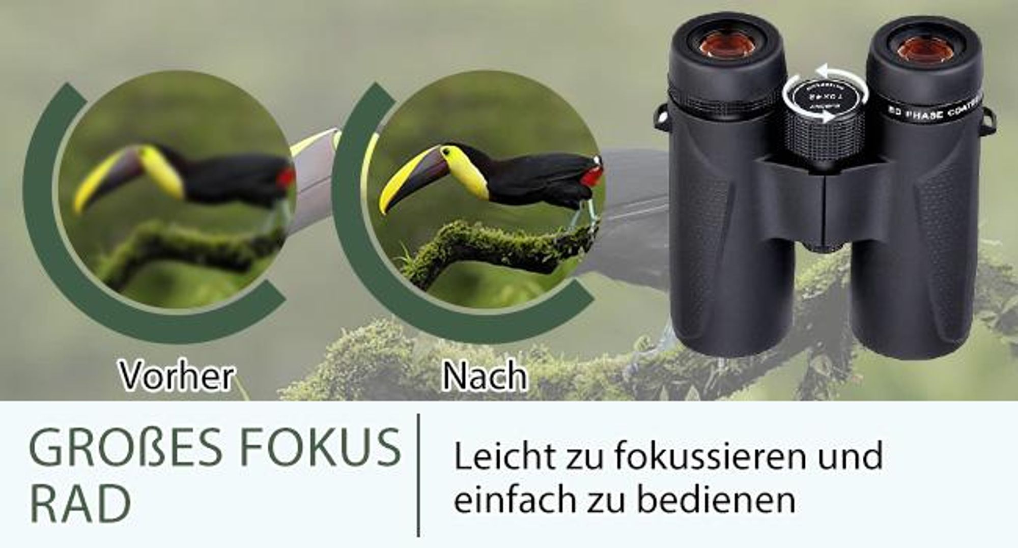 Svbony SV202 ED Fernglas 10x42, BAK4 Prisma, 1000M Sichtfeld, IPX7 Wasserdicht,  für Jagd, Olympische Spiele, Sport