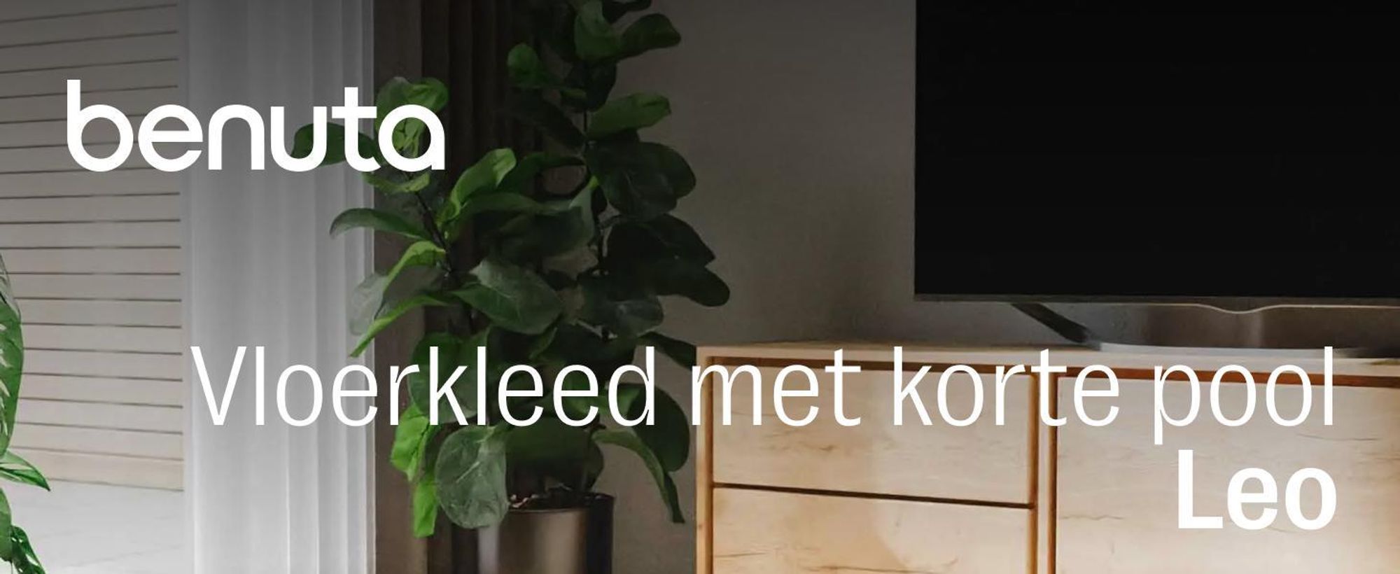 benuta vloerkleed woonkamer Leo Lichtgrijs 80x250 cm Woonkamer tapijt met Loper-patroon, korte pool, donzig en zacht