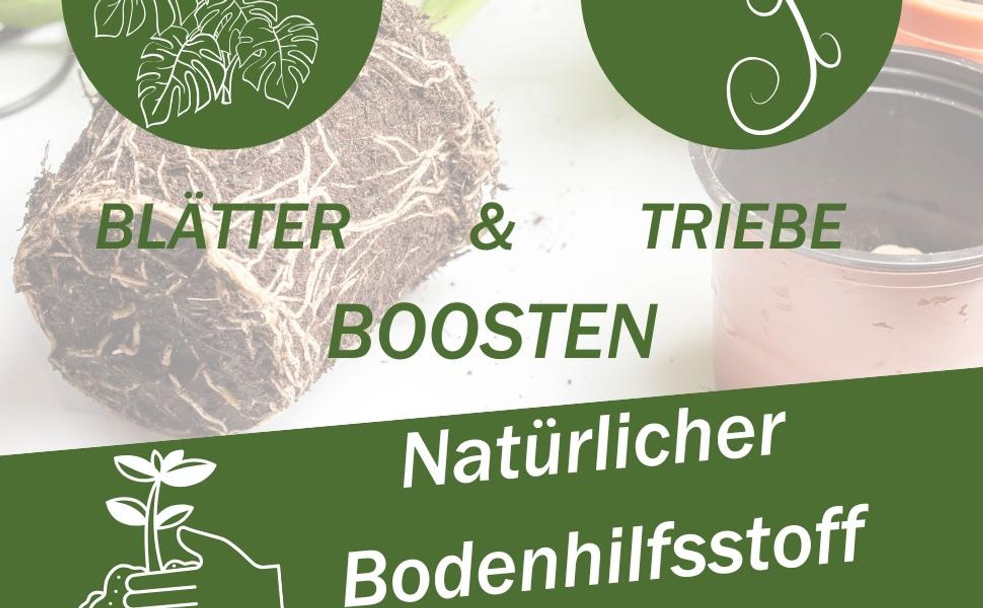 GreenPanda Monstera Dünger & Philodendron Dünger - 1L Blatt-Boost Dünger für Monstera - Flüssigdünger für Zimmer - & Balkonpflanzen