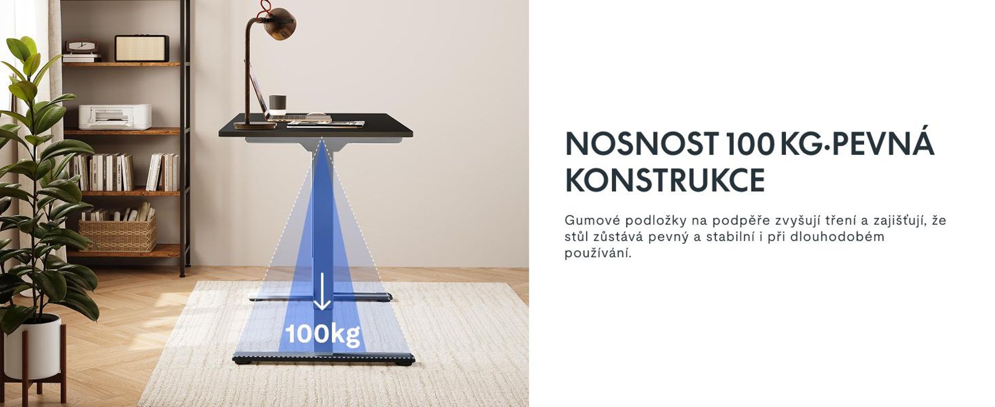 FlexiSpot E1 Pro Výškově nastavitelný stůl, duální motor, nosnost 100 kg, 4 paměťové ovládání, ochrana proti kolizi, elektrický rám stolu (šedý)