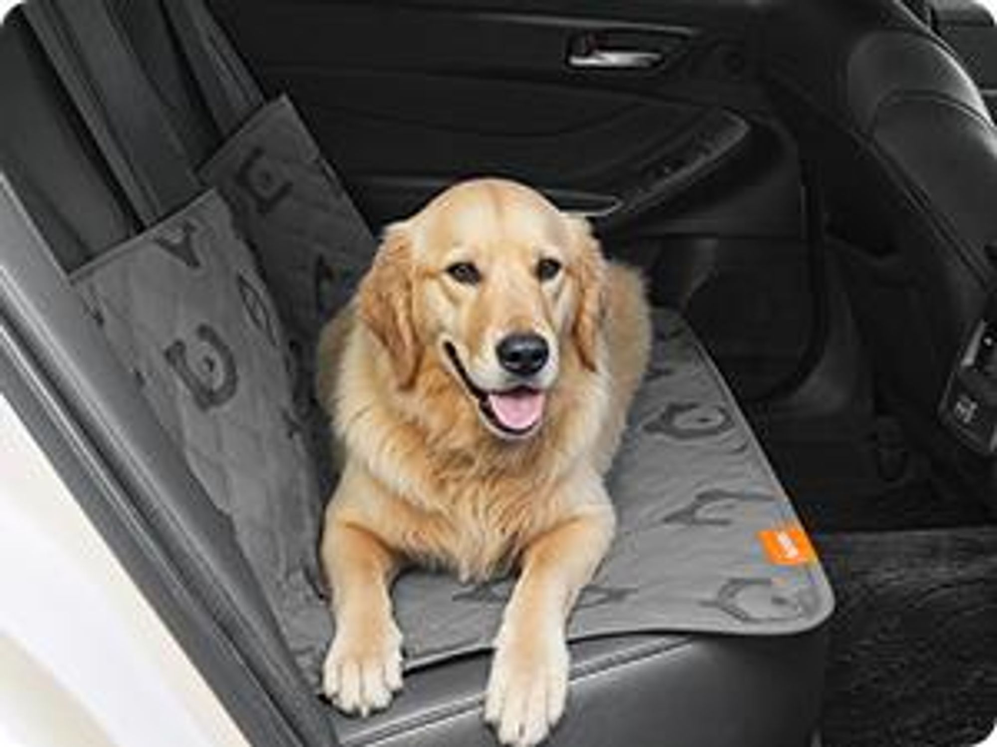 Feandrea Wasserdichte Hundedecke, Decke, 127 x 102 cm, Autoschondecke für Haustiere, Sofaschutz, maschinenwaschbar, rutschfeste Unterseite