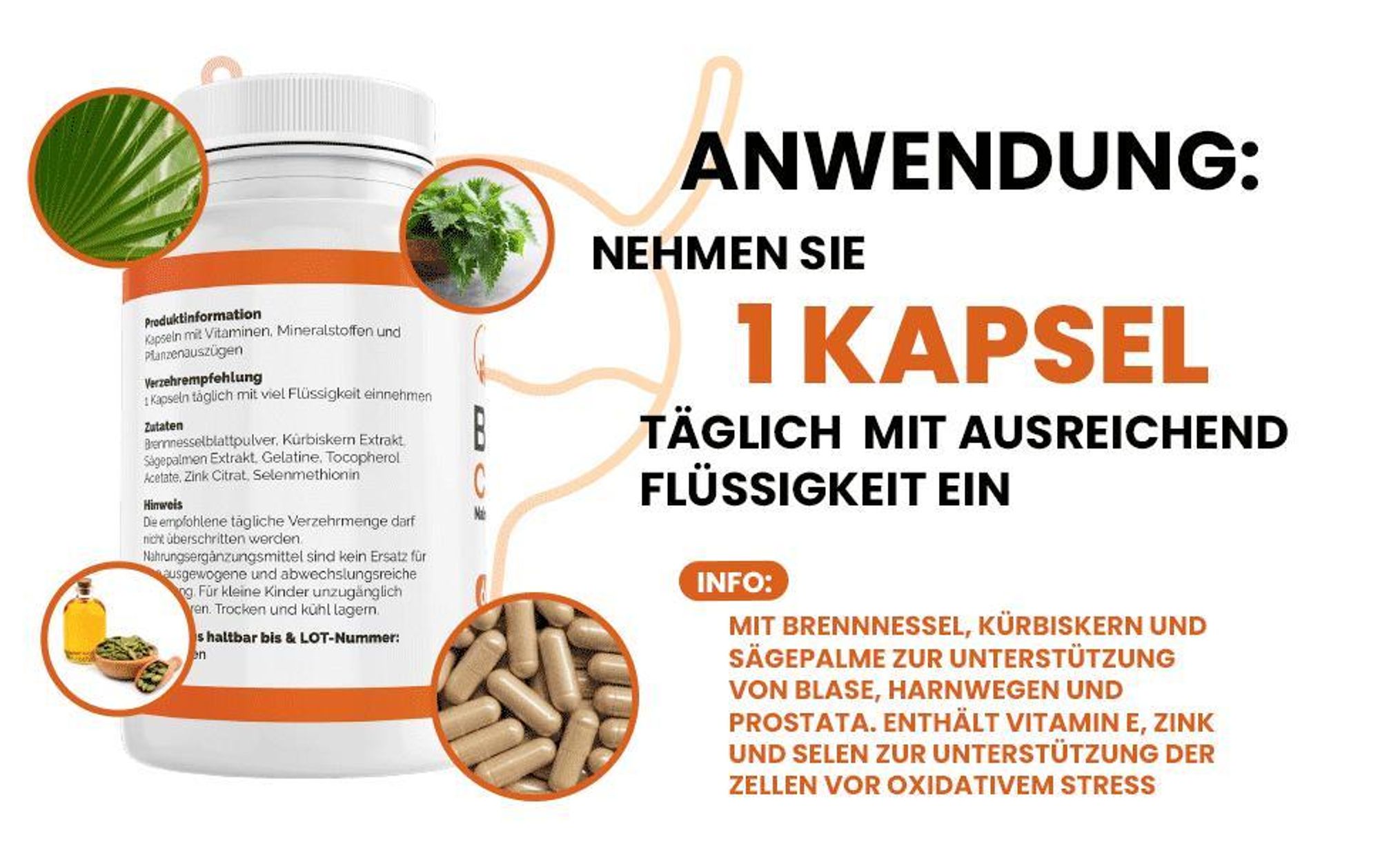Saint Nutrition® Blasen Control Kapseln - Stärkung der Blasenfunktion – bei Inkontinenz & schwacher Blase – gegen Blasenbeschwerden & Reizblase