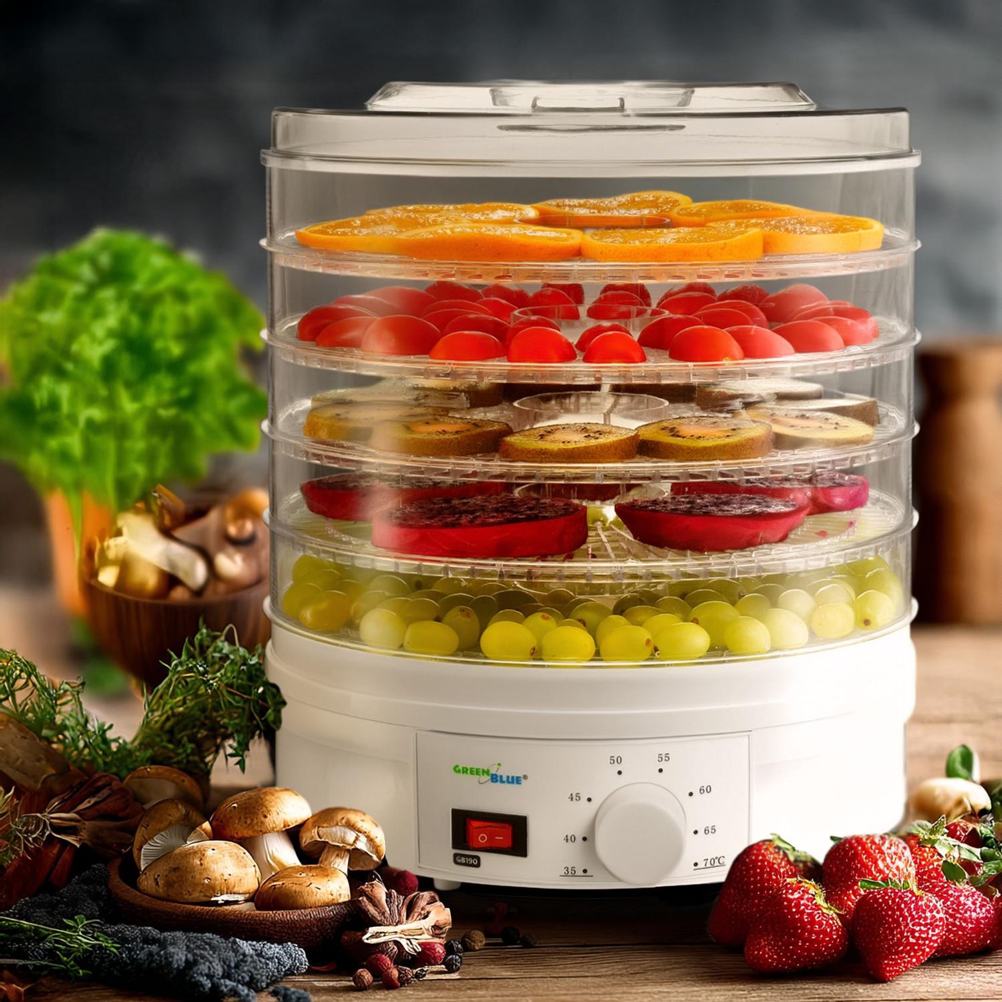 Dörrautomat Obst Pilze Dörrgerät Dörrer Trockner Obsttrockner Temperaturregler 350W 5 Siebe je 35mm