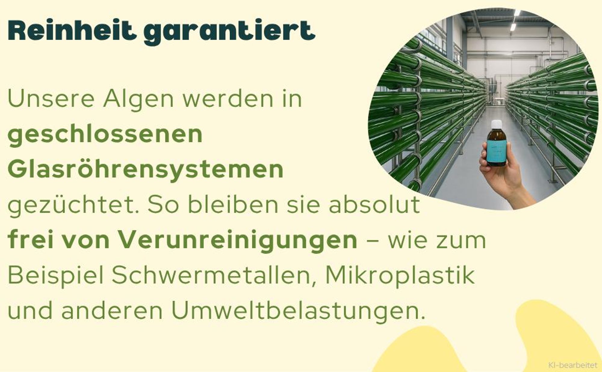 Premium Omega-3 Algenöl (2900mg pro Tag) - DHA & EPA - Kein Fischgeschmack - Zitroniger Geschmack - Triglycerid-Form - Labor - Mit Vitamin D3
