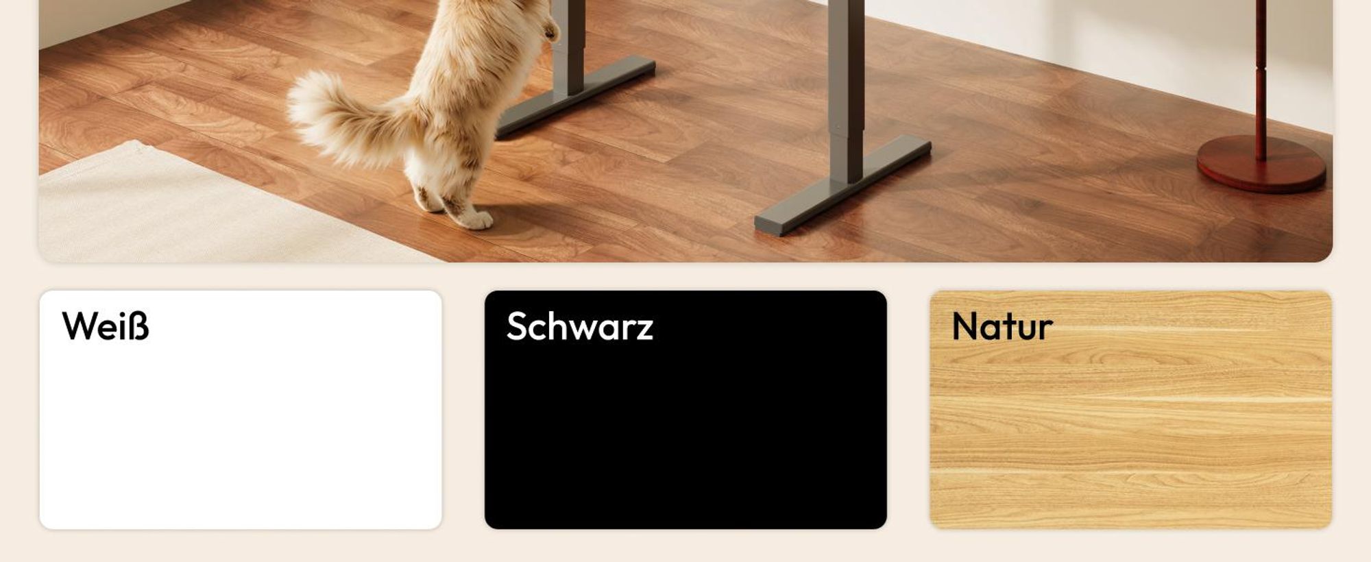 SANODESK QS1 Höhenverstellbarer Schreibtisch Elektrisch EINTEILIGE TISCHPLATTE, 4 Speicherplätzen, Haken & Kabelmanagement, 120x60cm (Schwarz)