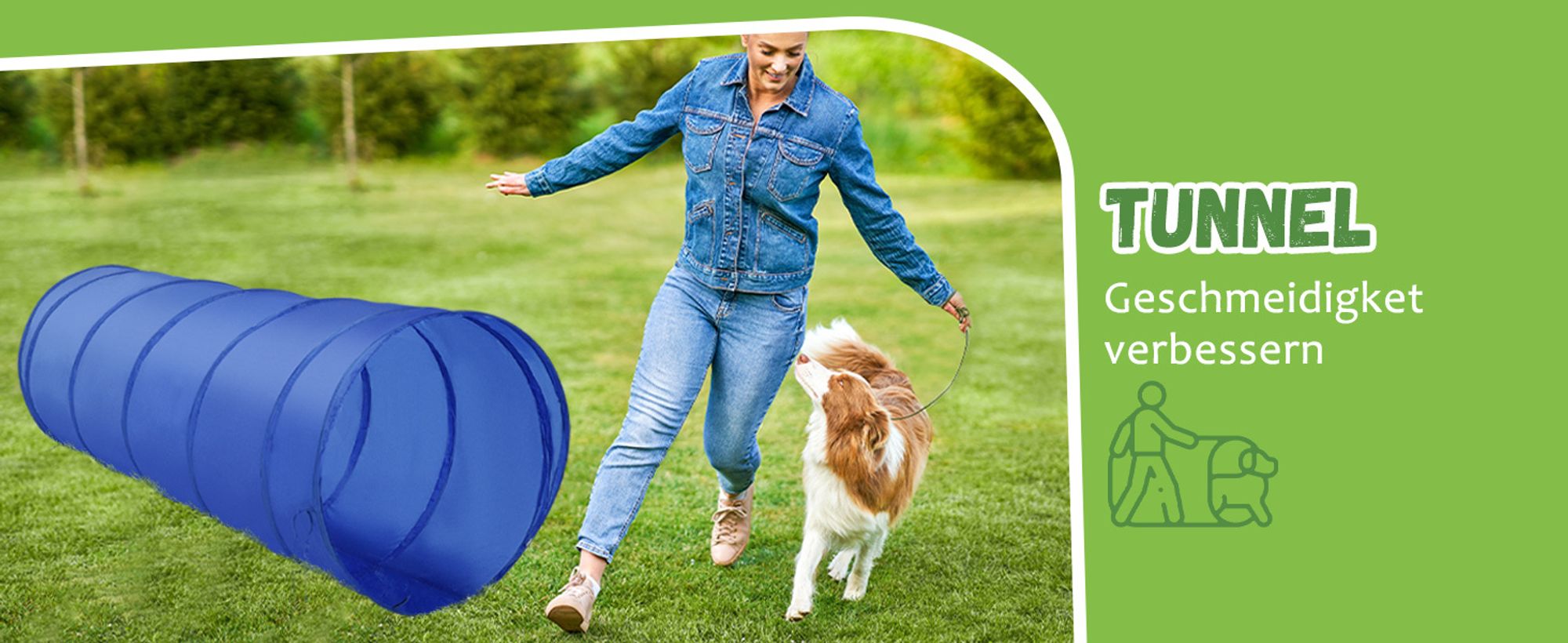 PawHut Hunde-Agility-Trainingsgeräte, Hunde-Agility-Parcours, Hund Agility Set