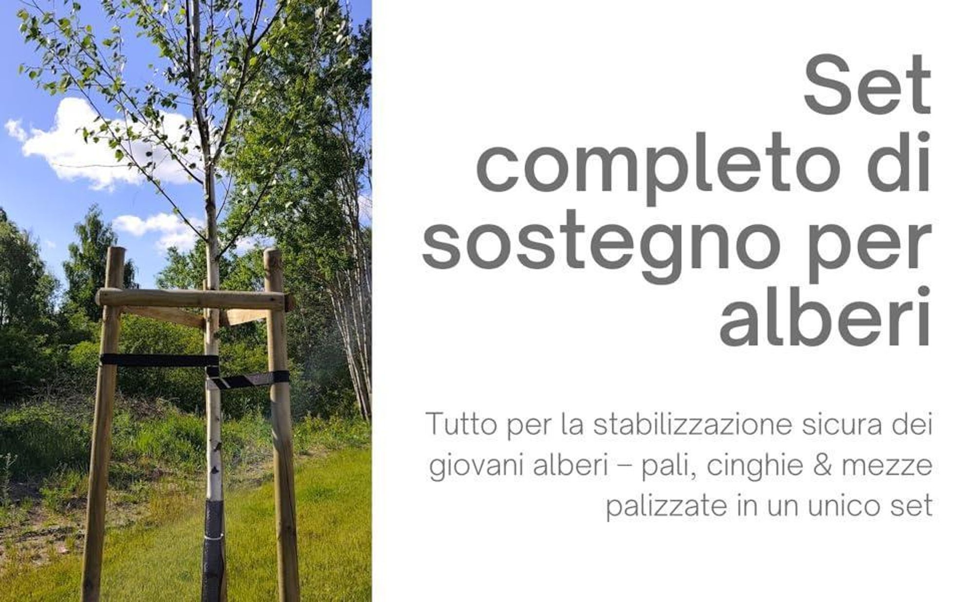 TIMBERMIK Kit Tutto Incluso per Sostegno Alberi Ø 6 cm 200 cm – 3 Pali in Legno 3 Cinghie Nere 6 Semicerchi Legno Supporto Piantagione Giardino