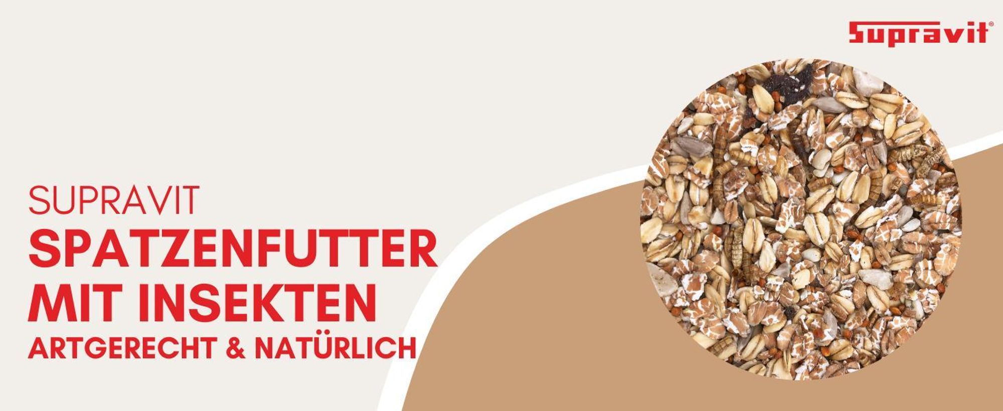 Produkt auf grafischem Hintergrund