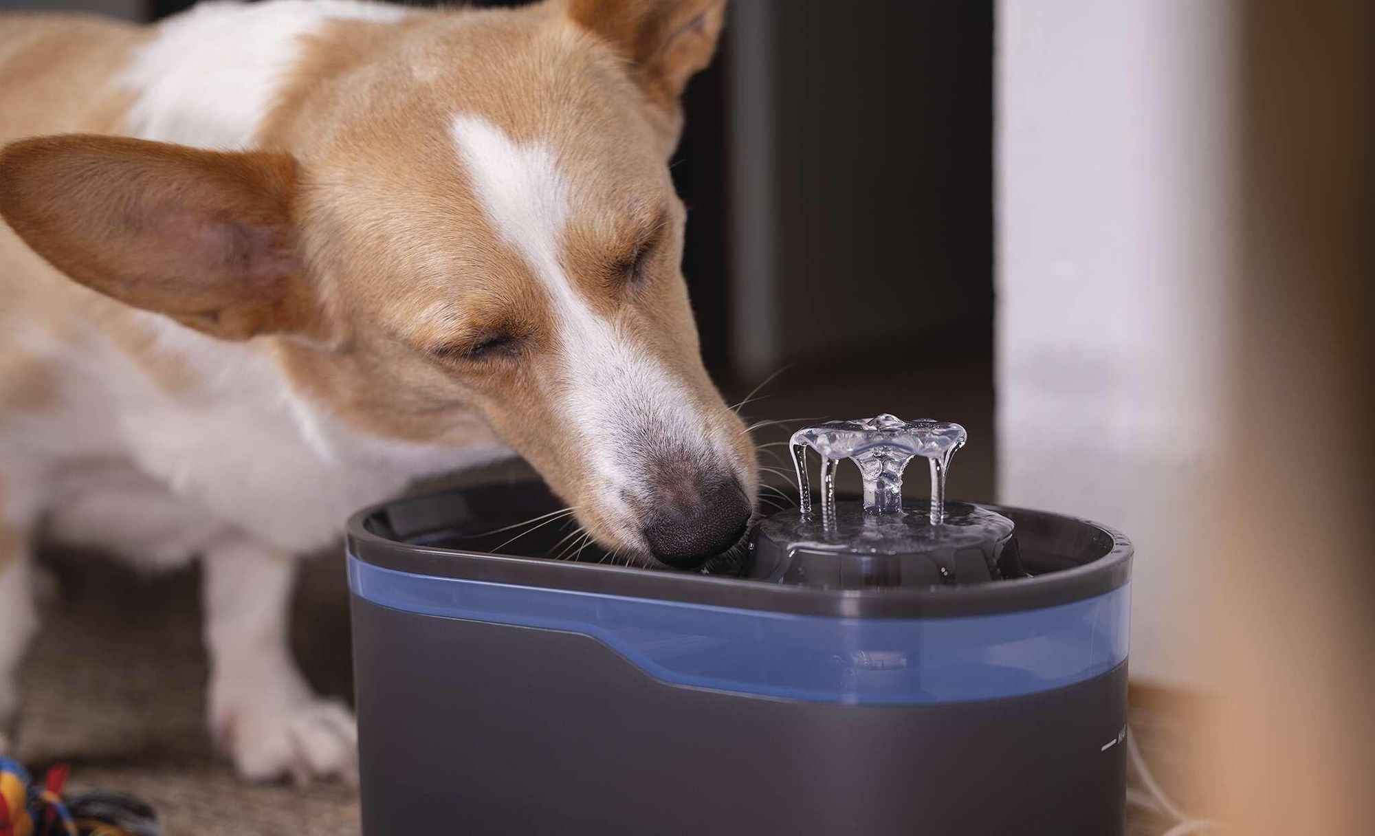 EMOS Ersatzpumpe für Katzenbrunnen inkl. Ladekabel und Schaumfilter, Pet Care Wasserpumpe geeignet für Wasserbrunnen EMOS H6101, weiß, H6902