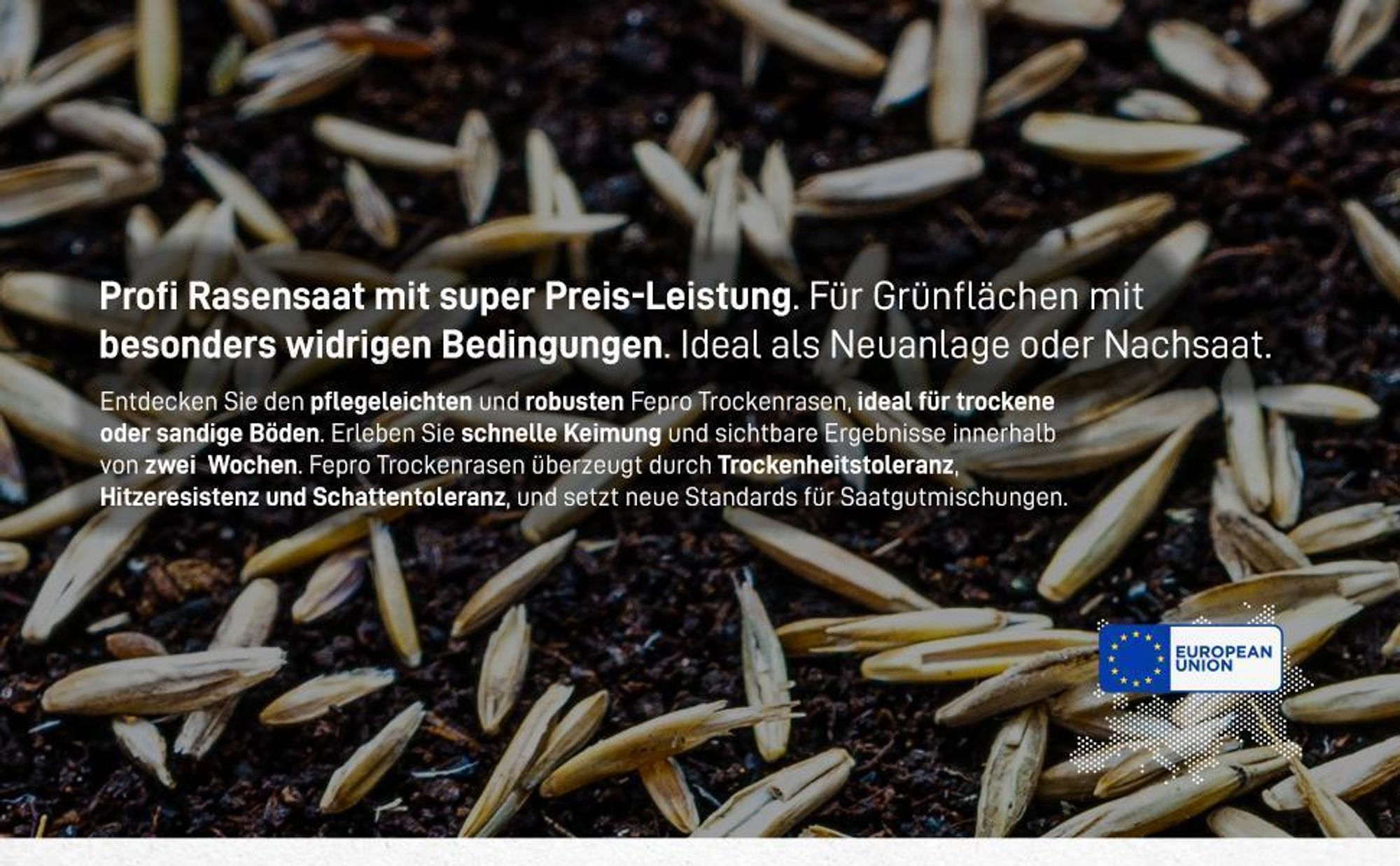 20 kg Rasensamen trockenresistent dürreresistent für Trockenrasen & Schattenrasen Samen Grassamen schnellkeimend, 800m², ideal für Neuansaat und Nachsaat, Rasensaat Grassamen