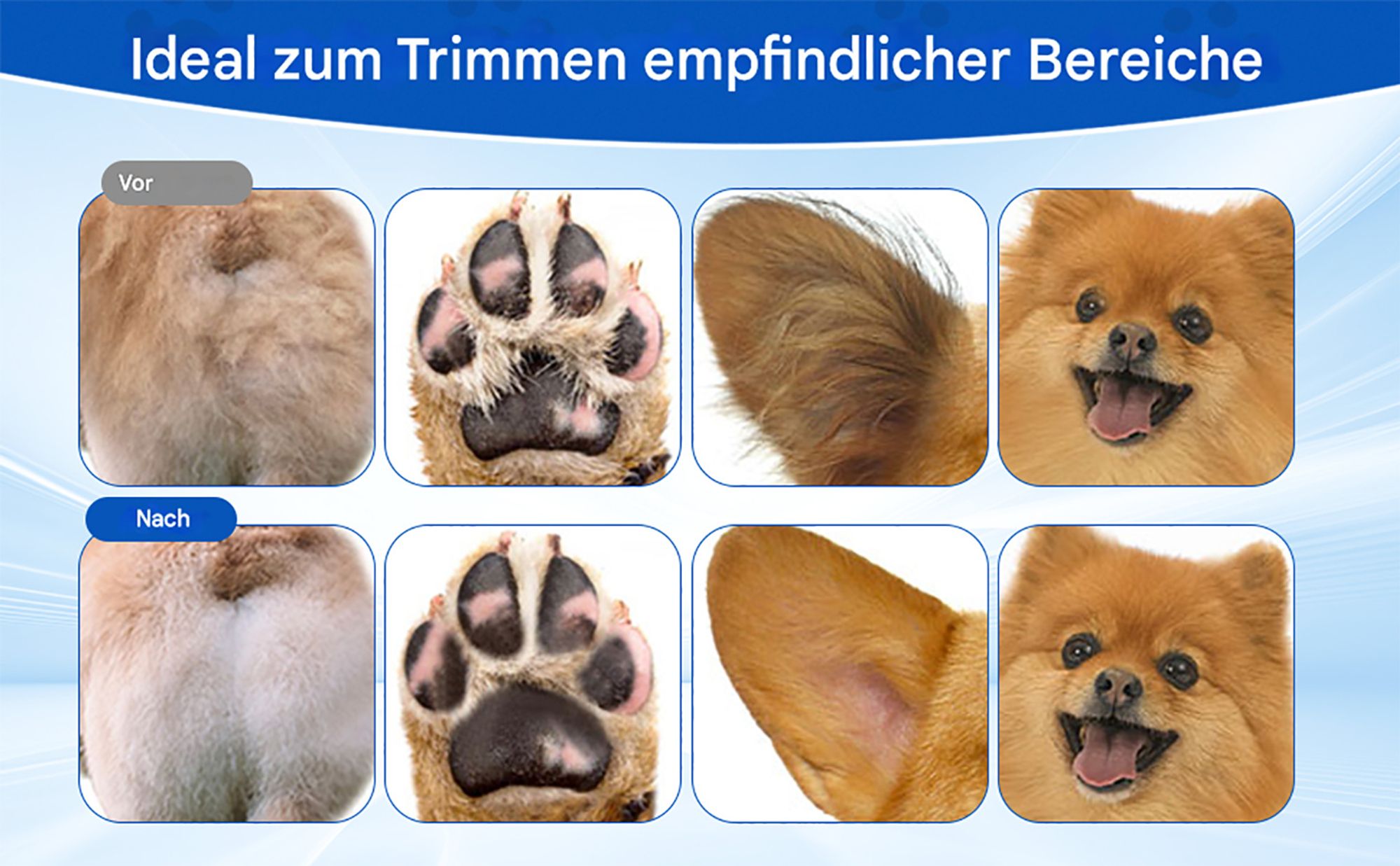 Hundeschermaschine, Pfotenschneider für Hunde, Tierhaarschneider mit LED, Kabelloser Clipper Hundepfoten Leise, Elektrischer Tierhaarschneider