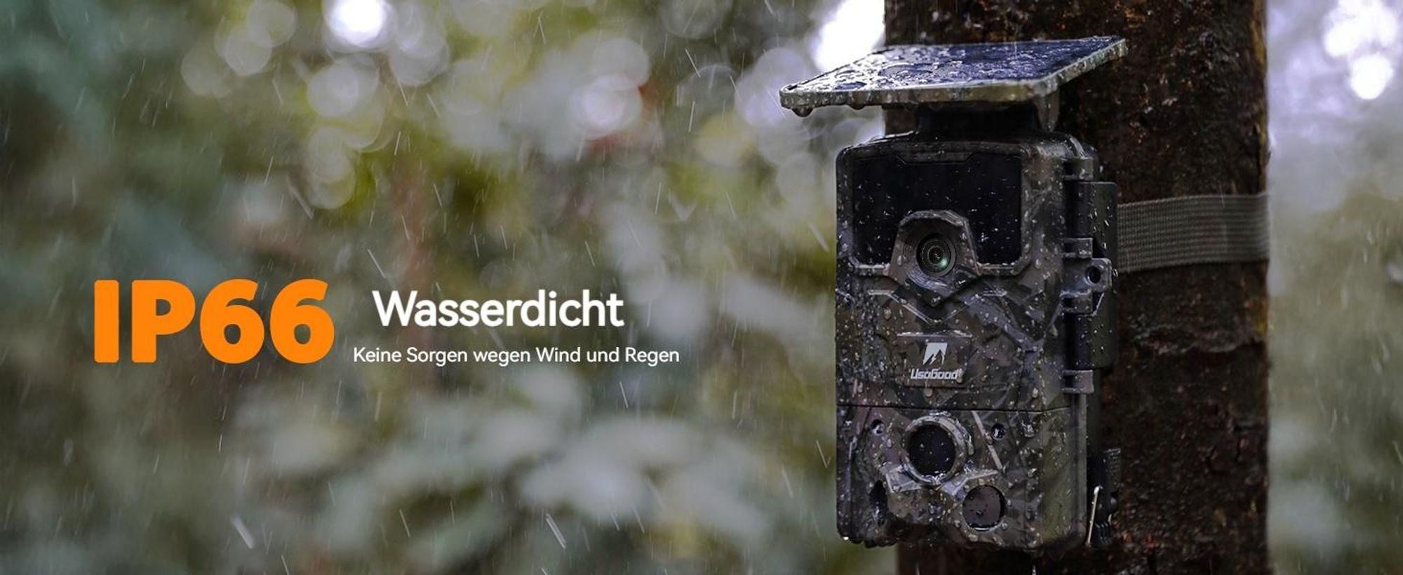 Wildkamera 4K 48MP Wildtierkamera Solar mit Bewegungsmelder Nachtsicht, 120°Erfassungswinkel