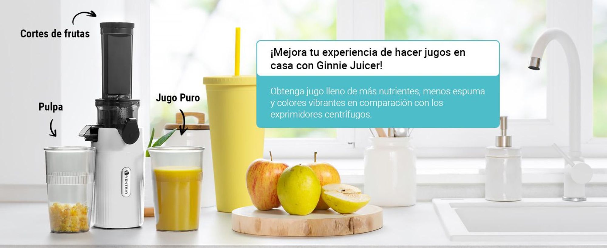 Ventray Essential Ginnie: Exprimidor en frío, extractor de zumo lento, compacto y silencioso (60 RPM, abertura de 45 mm), libre de BPA, capacidad de 400 ml, fácil de limpiar