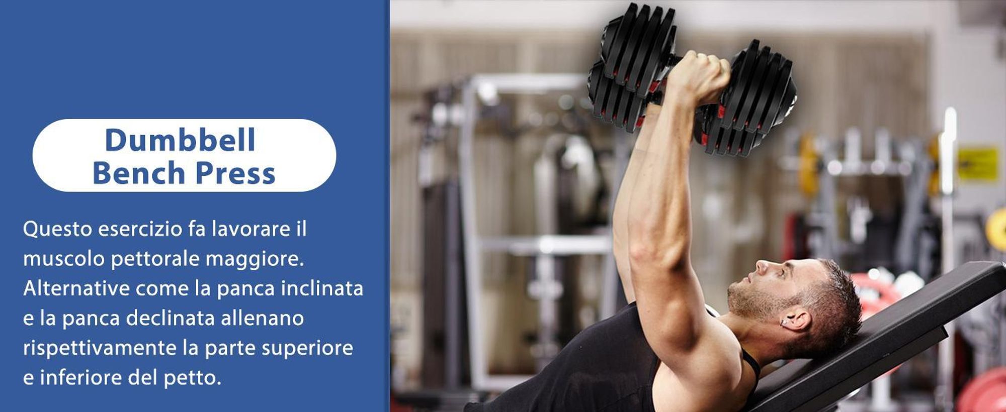 DH FitLife Set di Manubri Regolabili 12 Livelli da 2 kg a 12 kg con Base Porta Pesi per Allenamento Casa, Manubri Ergonomici per Fitness