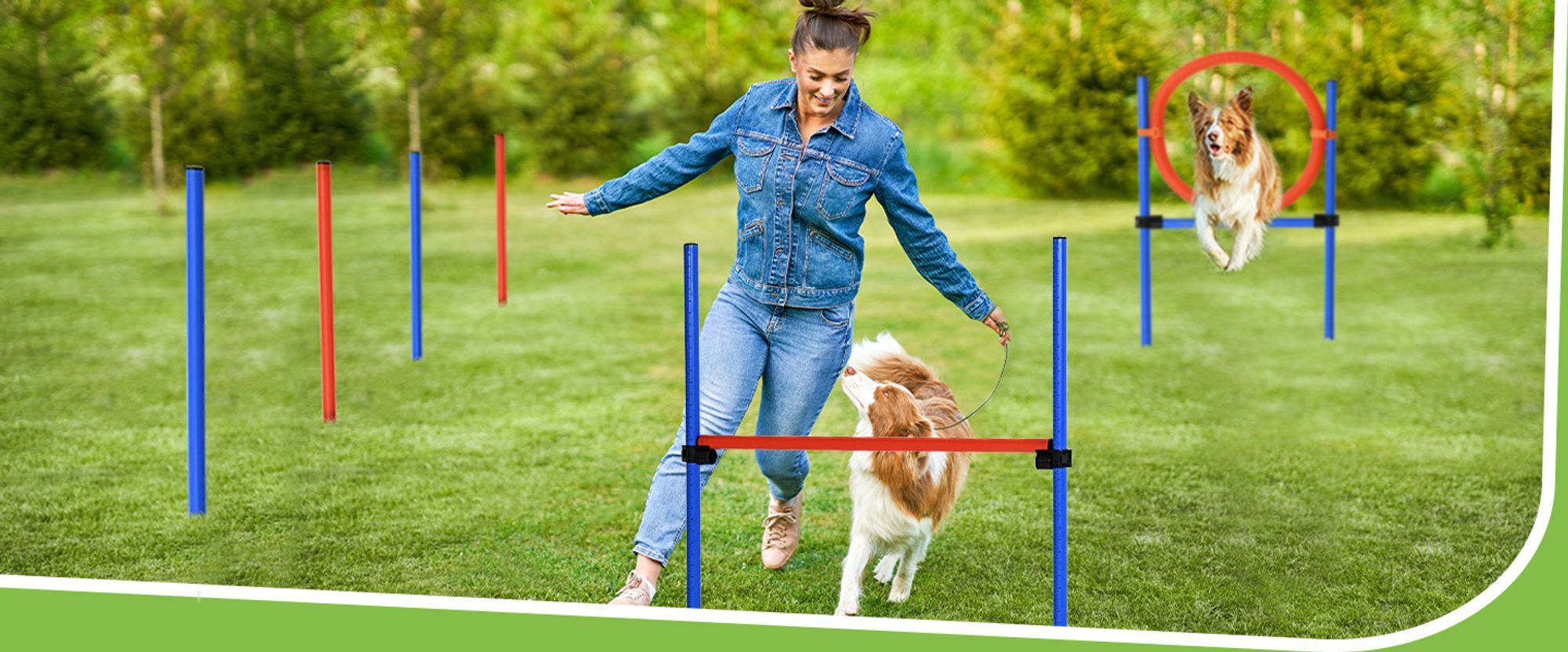 Pawhut Hunde Agility Slalom Übung Hundesport Training Reifen Hürde Set 2 Modelle