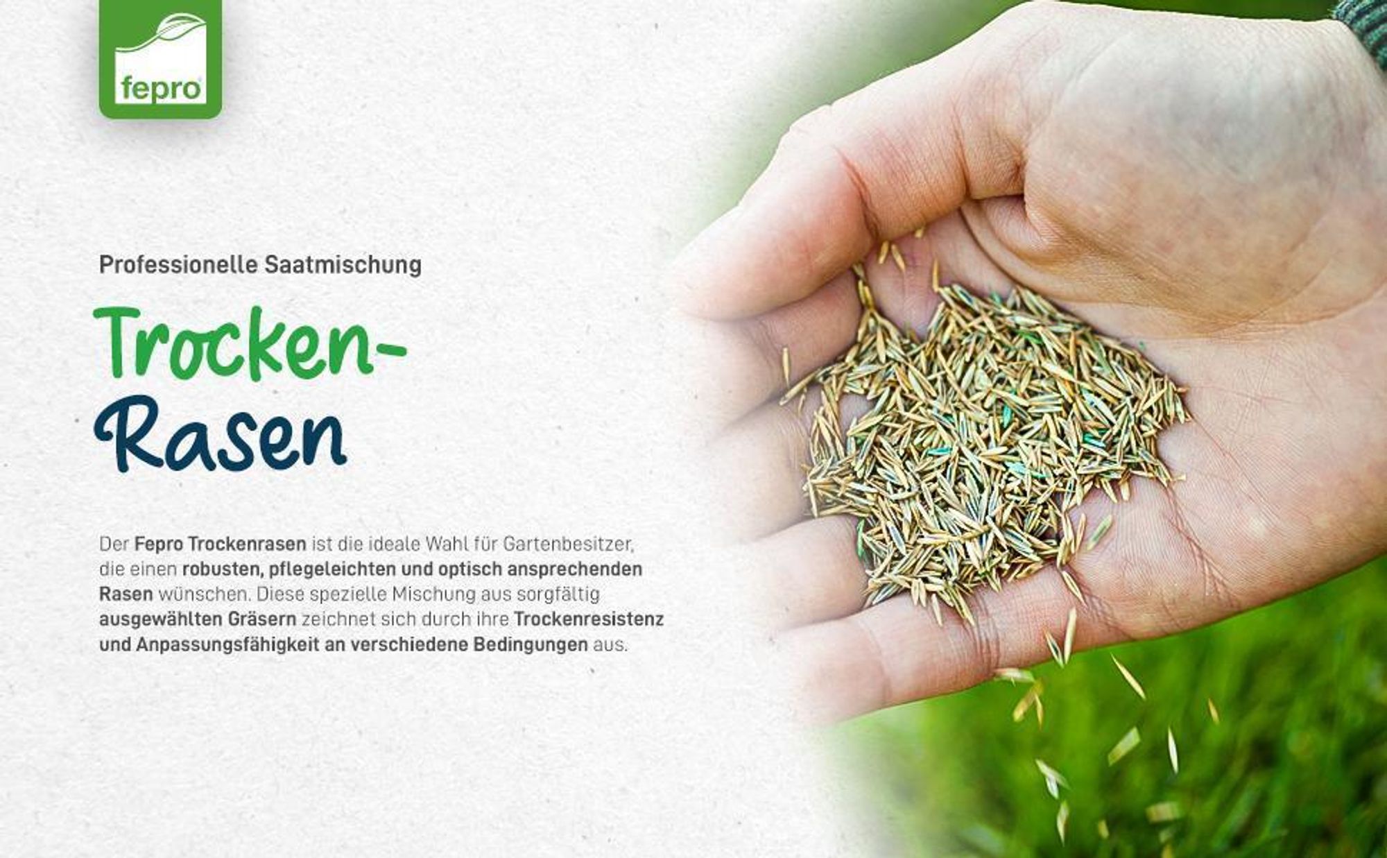 1 kg Rasensamen trockenresistent dürreresistent für Trockenrasen & Schattenrasen Samen Grassamen schnellkeimend, 40m², ideal für Neuansaat und Nachsaat, Rasensaat Grassamen