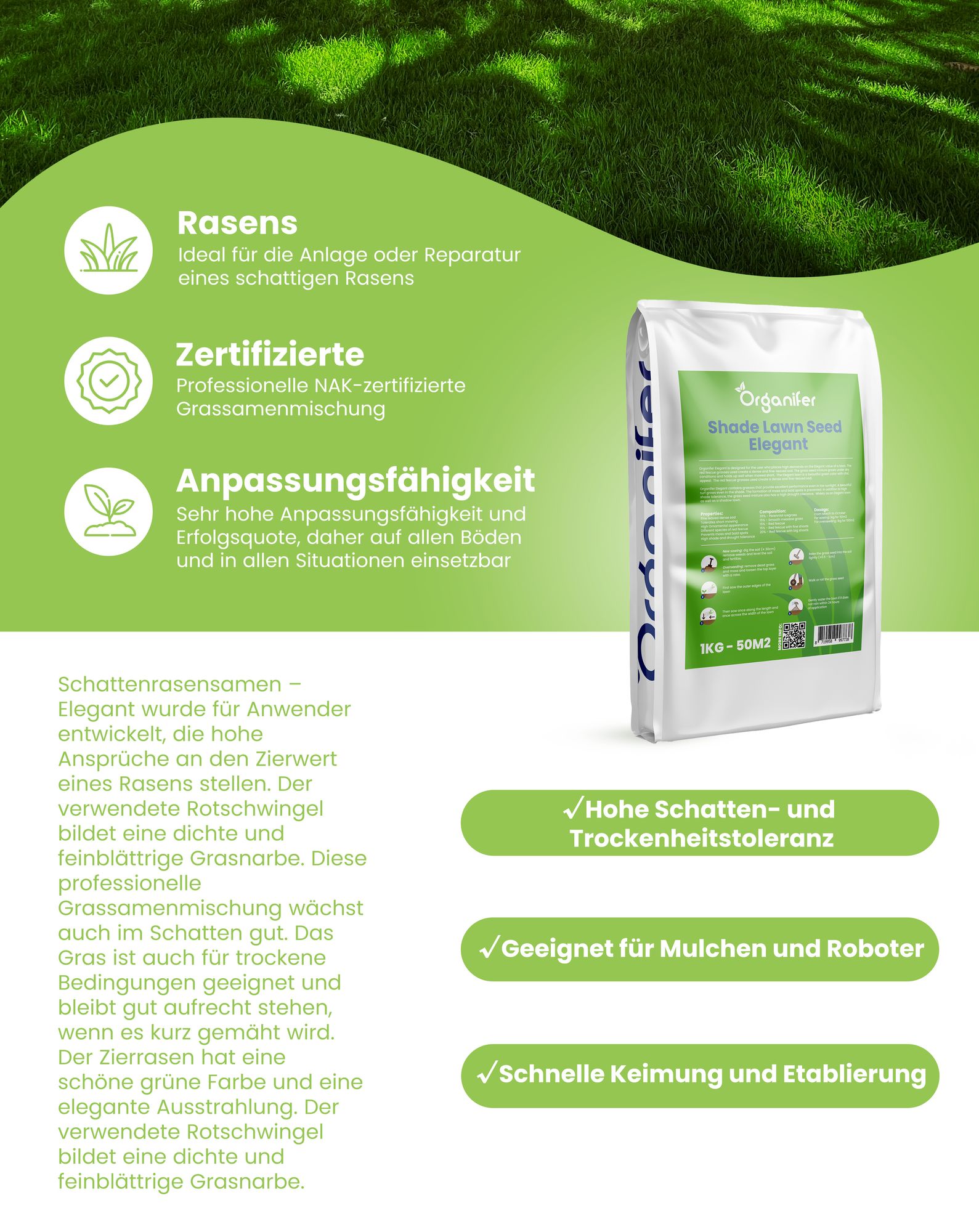 Schattenrasen Samen Elegant - 1 kg = 50 m2 – Rasensaat Für Schattige Gärten, Dichter & Strapazierfähiger Rasen, Nachsaat & Neuanlage – Organifer