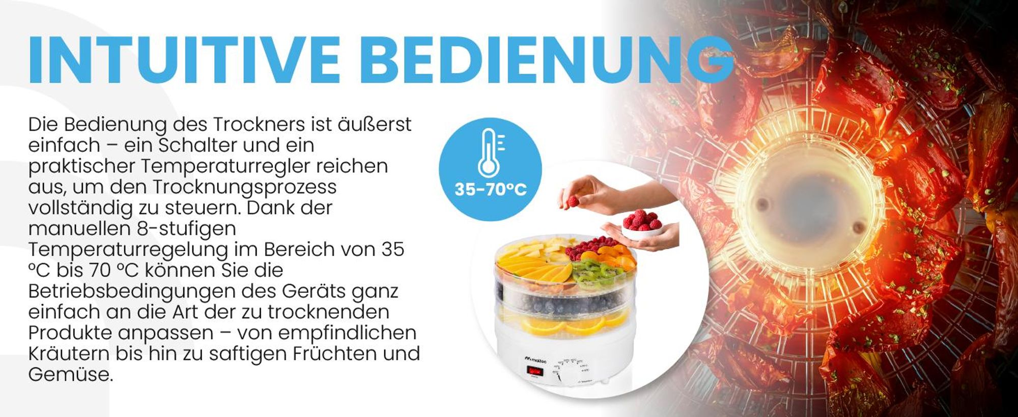 Dörrautomat Dörrgerät für Obst Gemüse Pilze 500W mit 5 Etagen