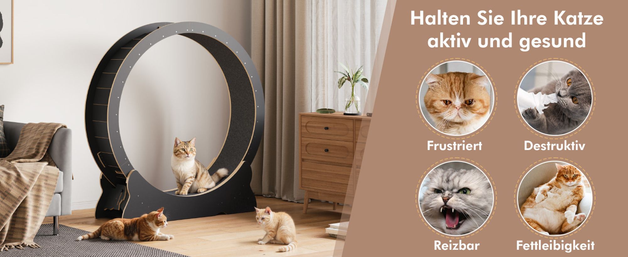 Mondeer Tier-Intelligenzspielzeug Laufband für Katzen,Innendurchmesser 100cm,Sicherheitsschloss-Design, Leises Scrollrad,110 x 117 x 36CM Schwarz
