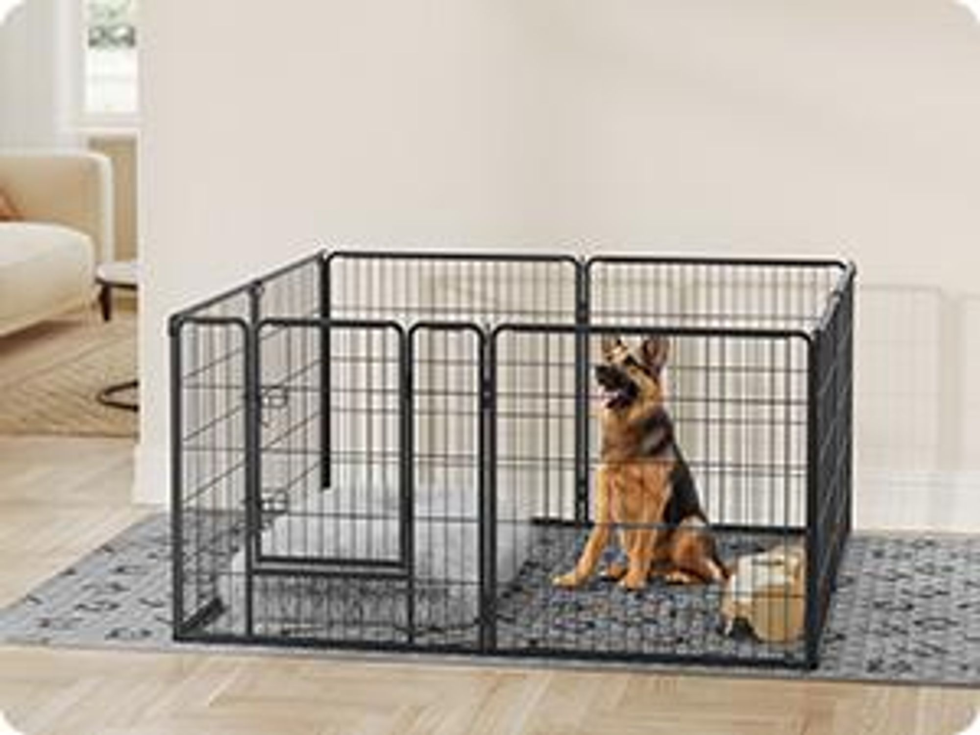 Feandrea Wasserdichte Hundedecke, Decke, 208 x 173 cm, Autoschondecke für Haustiere, Sofaschutz