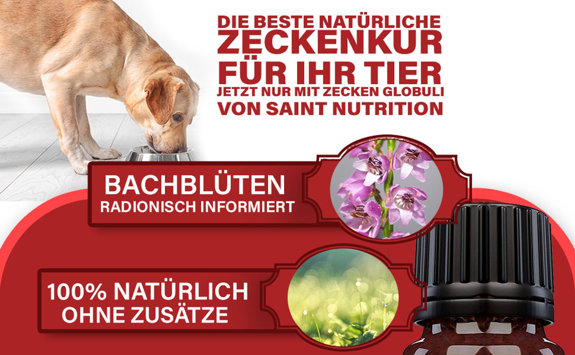 Saint Nutrition® Zecken Plus Kügelchen - zum Schutz vor Zeckenbefall – für Hunde und Katzen – Zeckenschutz Hund – keine Zecken – Zecken - Zecken Hund